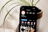 A smartphone displays an Instagram profile page with an interface showing follower and post statistics. The phone is placed near a potted plant with long, slender green leaves. The background is softly blurred, highlighting the focus on the device and plant.