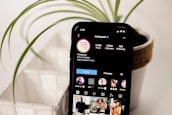 A smartphone displays an Instagram profile page with an interface showing follower and post statistics. The phone is placed near a potted plant with long, slender green leaves. The background is softly blurred, highlighting the focus on the device and plant.