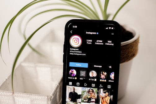 A smartphone displays an Instagram profile page with an interface showing follower and post statistics. The phone is placed near a potted plant with long, slender green leaves. The background is softly blurred, highlighting the focus on the device and plant.