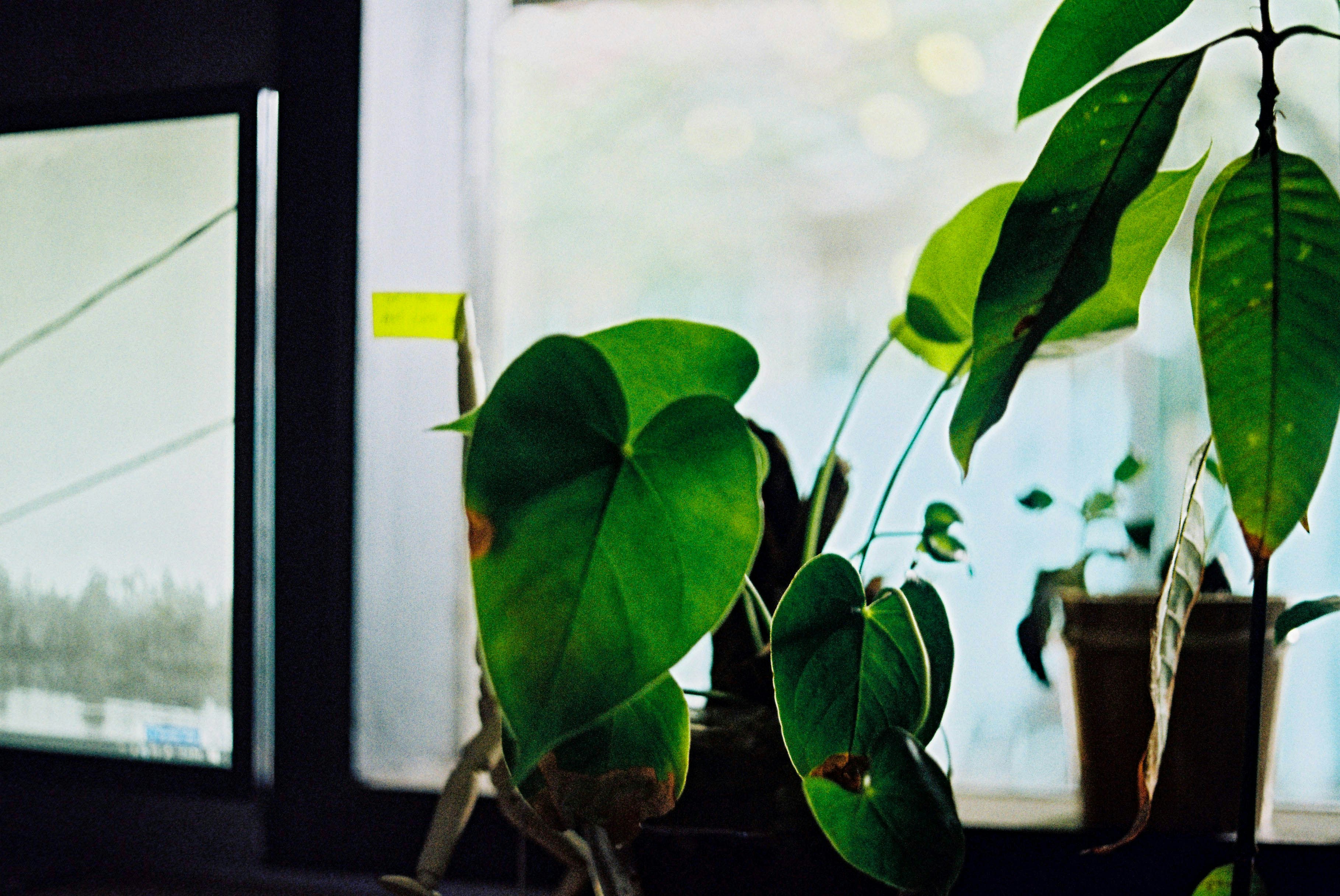 Photo by yudhaprilian