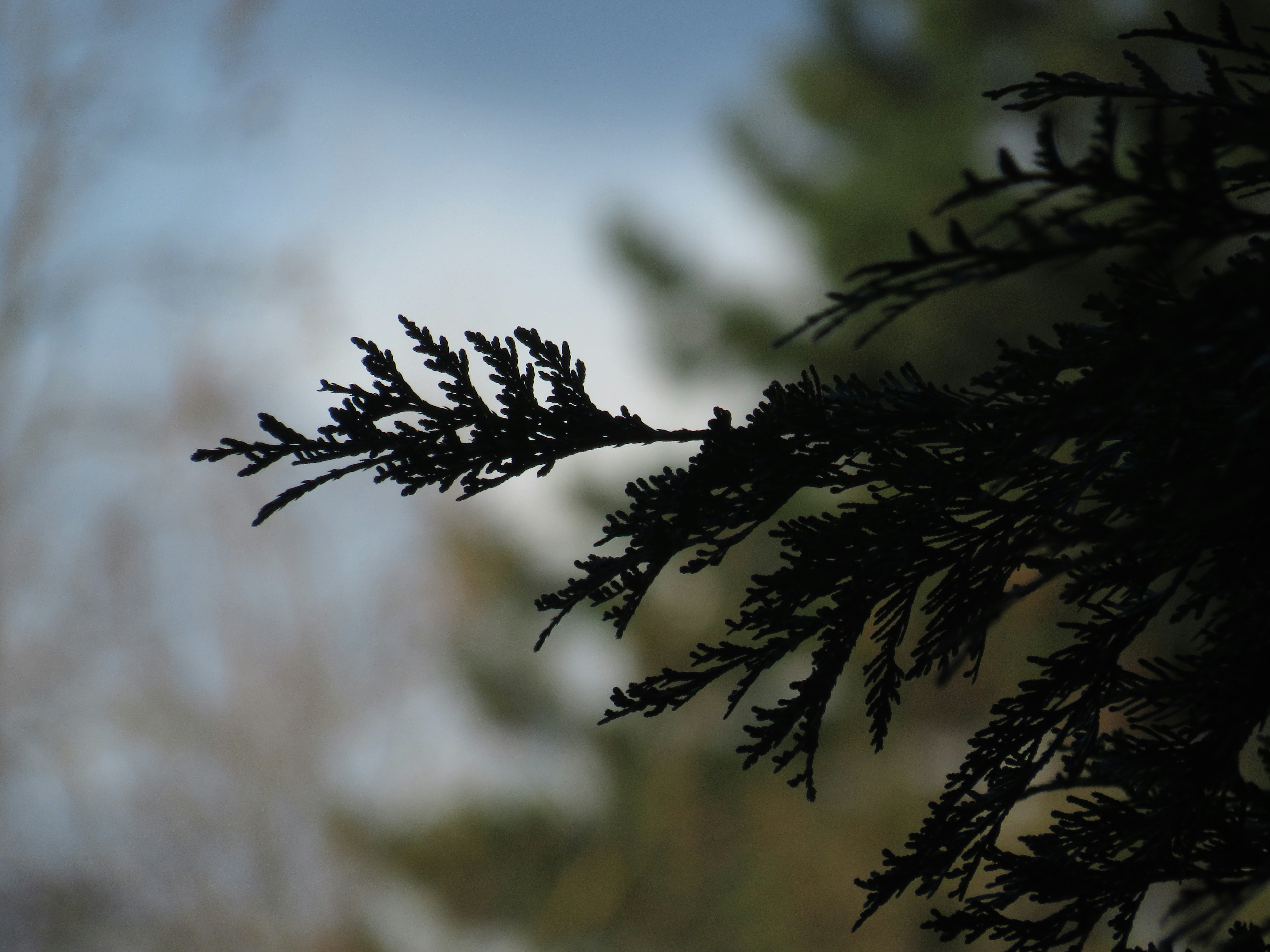 Photo by albertstoynov