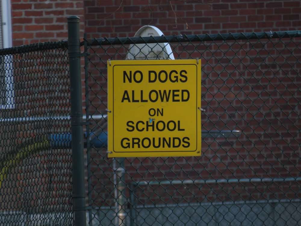 a no dogs allowed sign on a chain link fence
