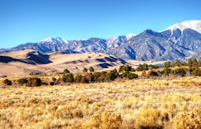 a field with mountains in the background