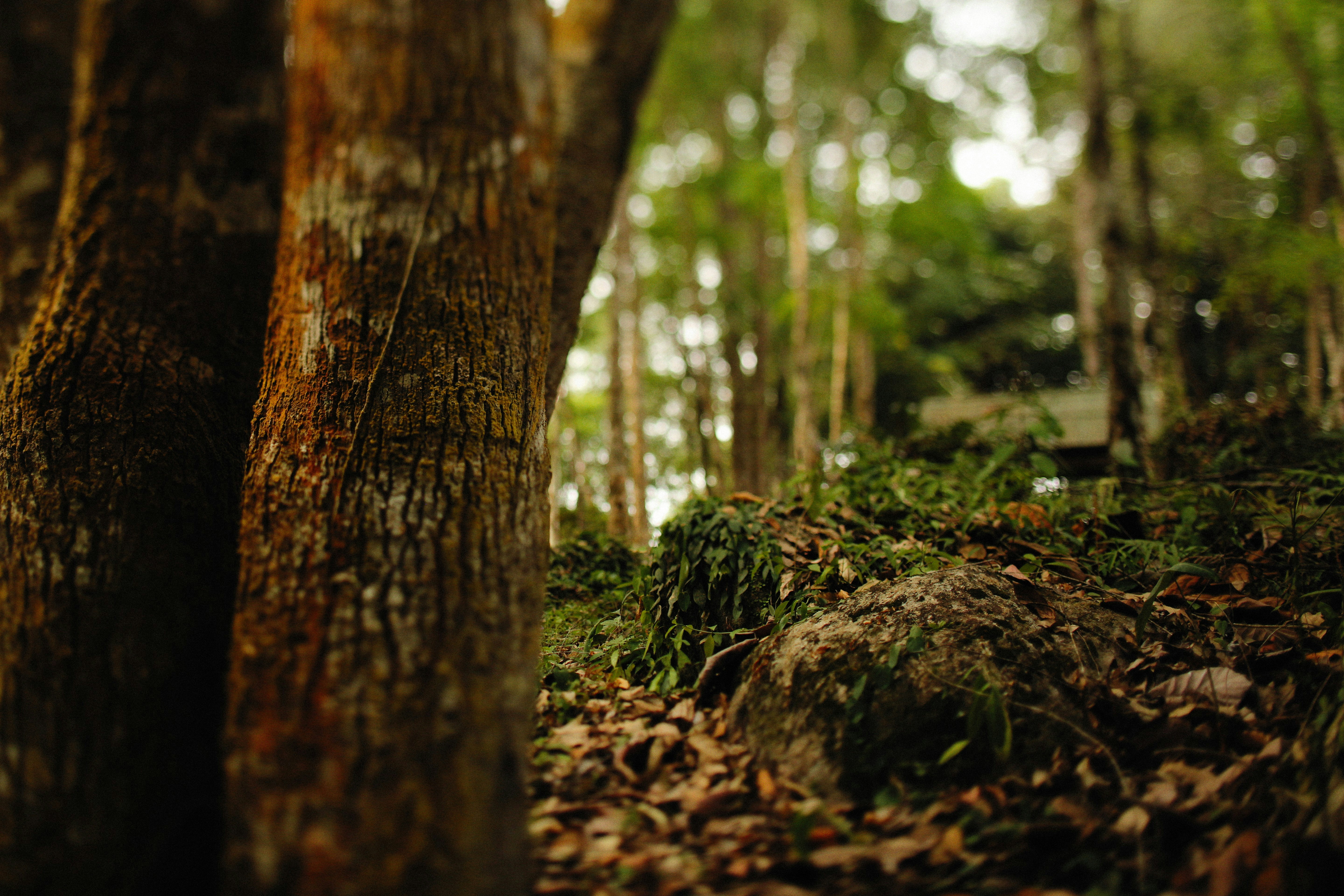 Photo by alexeydemidov