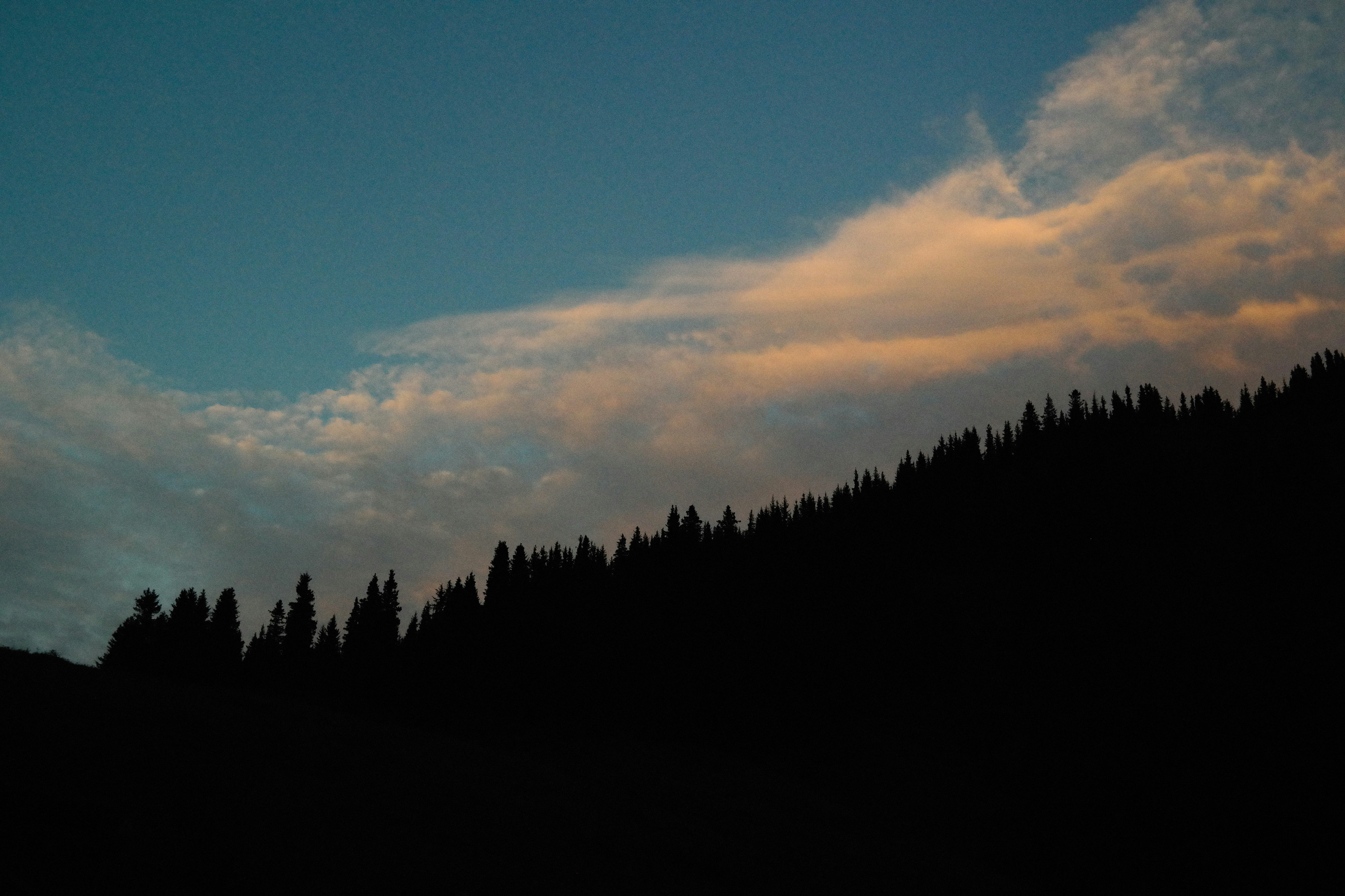 Photo by alexeydemidov