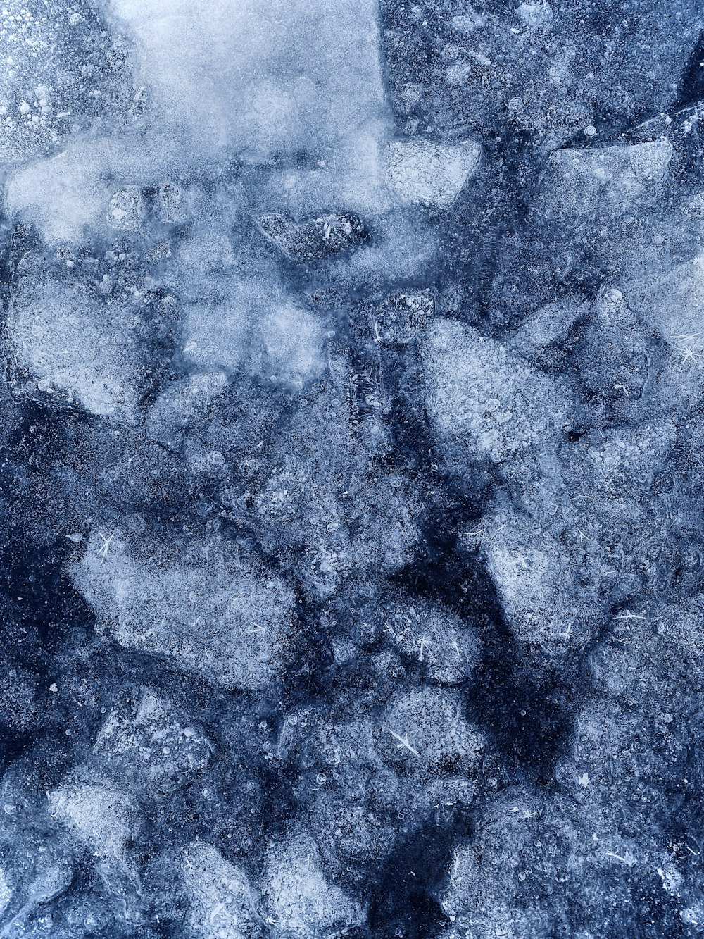 a close up of ice on the ground