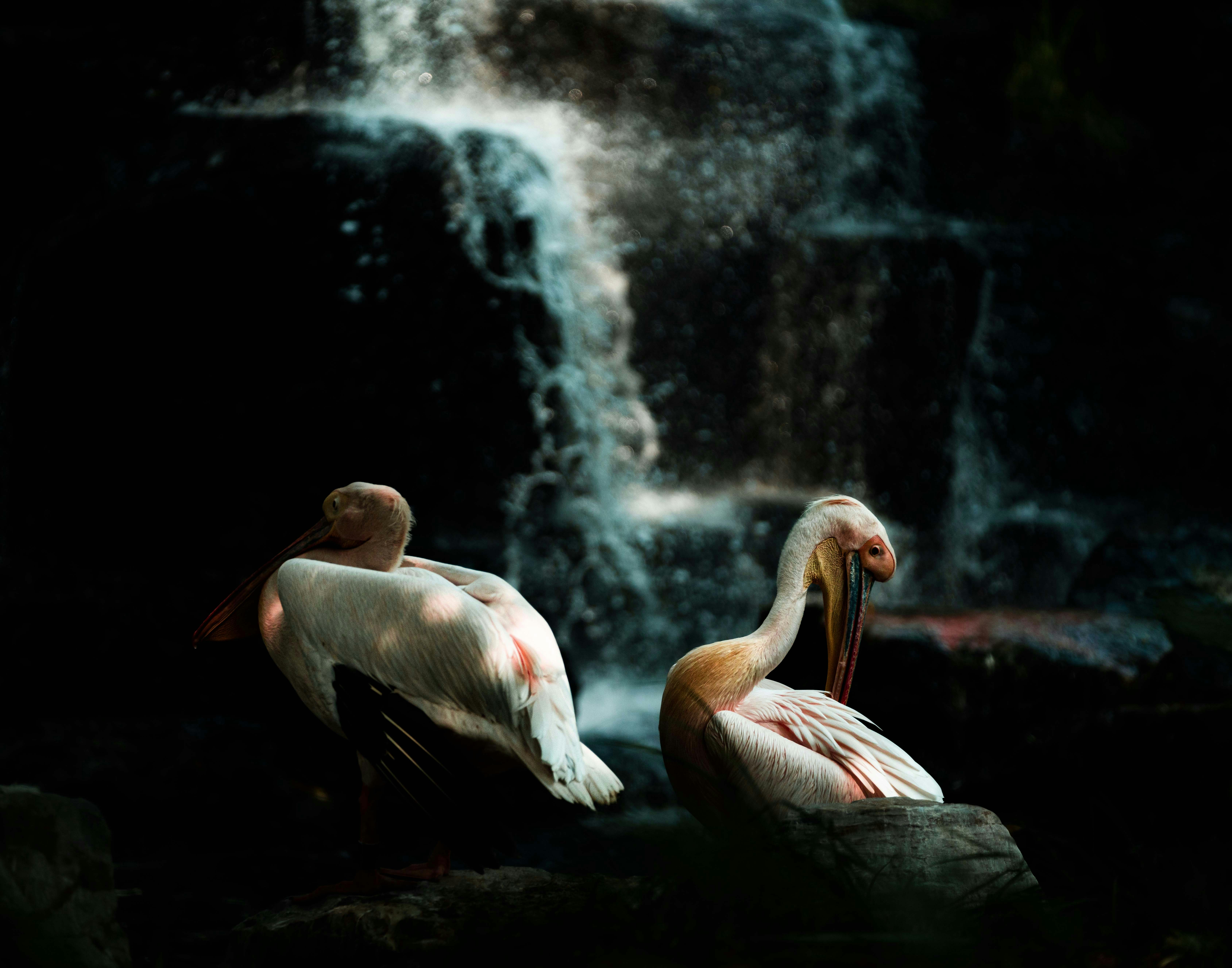 5 Reasons Why Missing Tooth Replacement Is Essential