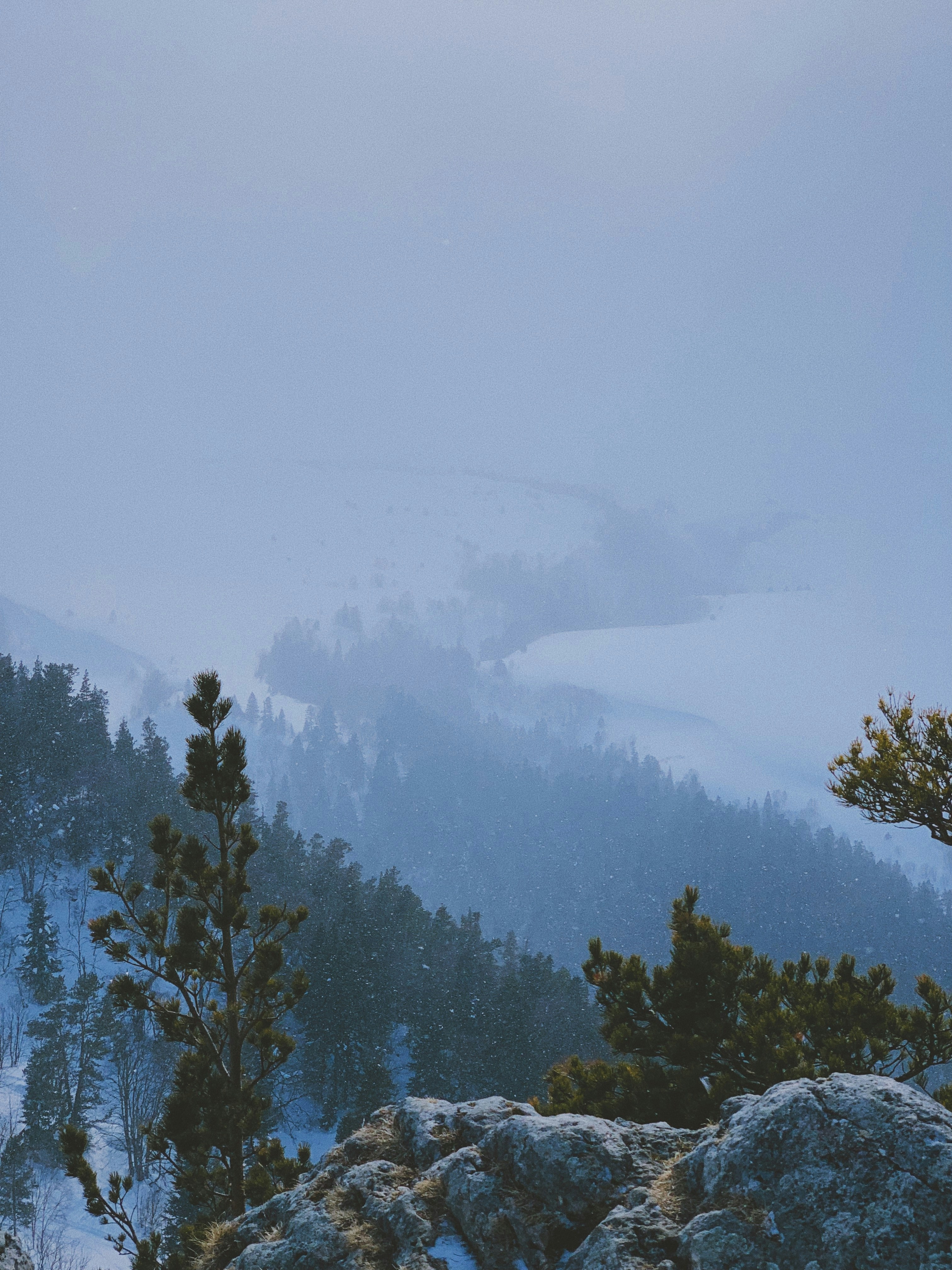 winter snowstorm landscape, wallpaper, Winter Whiteout Safety: How to Navigate & Stay Safe 4