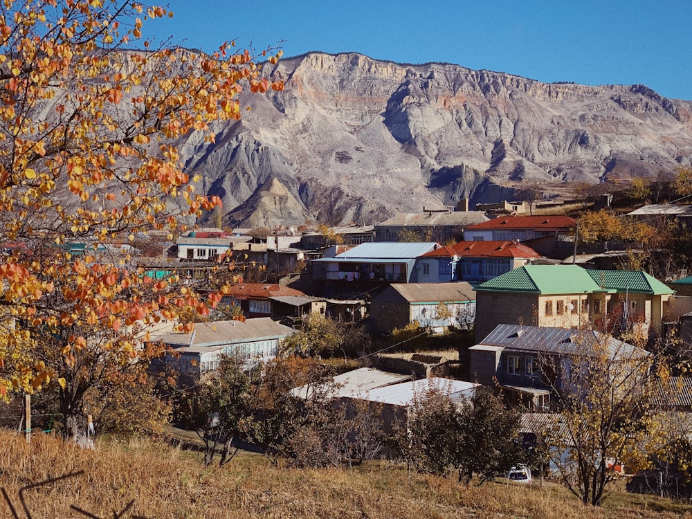 a view of a small town with mountains in the background