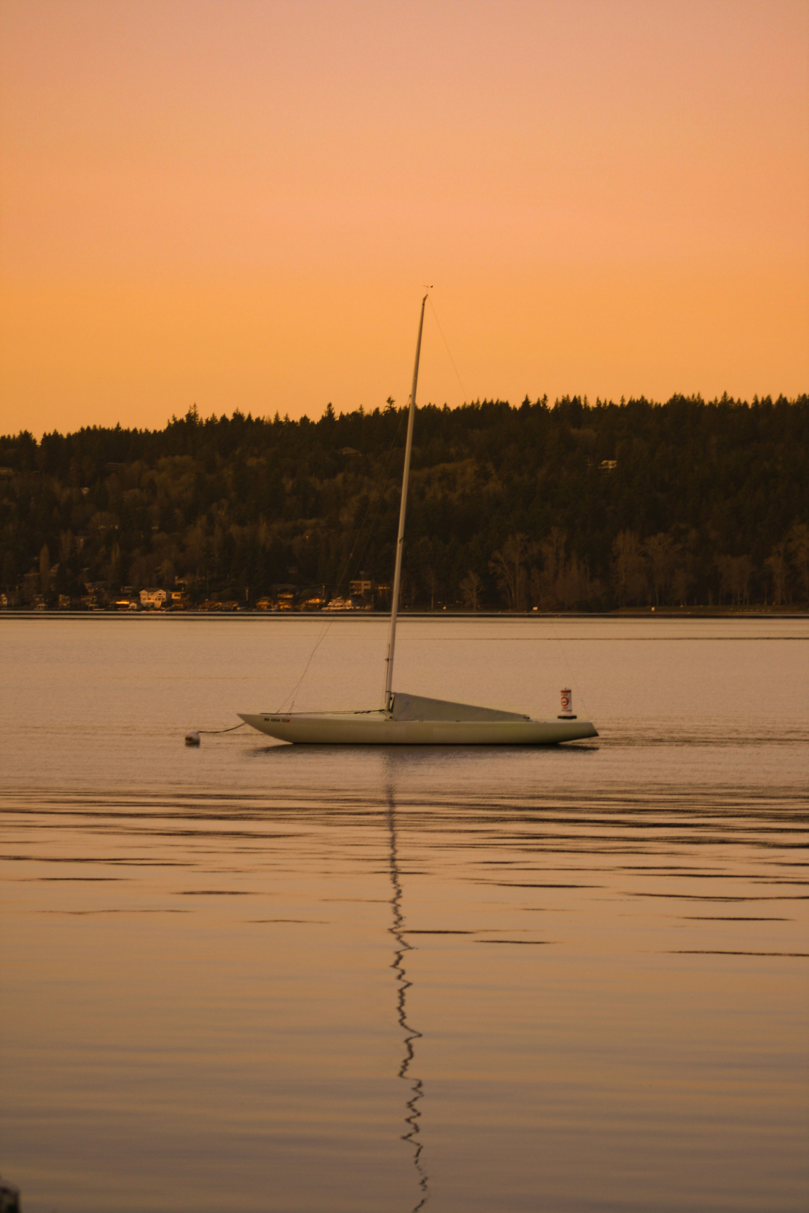 Photo by jacksonheisler