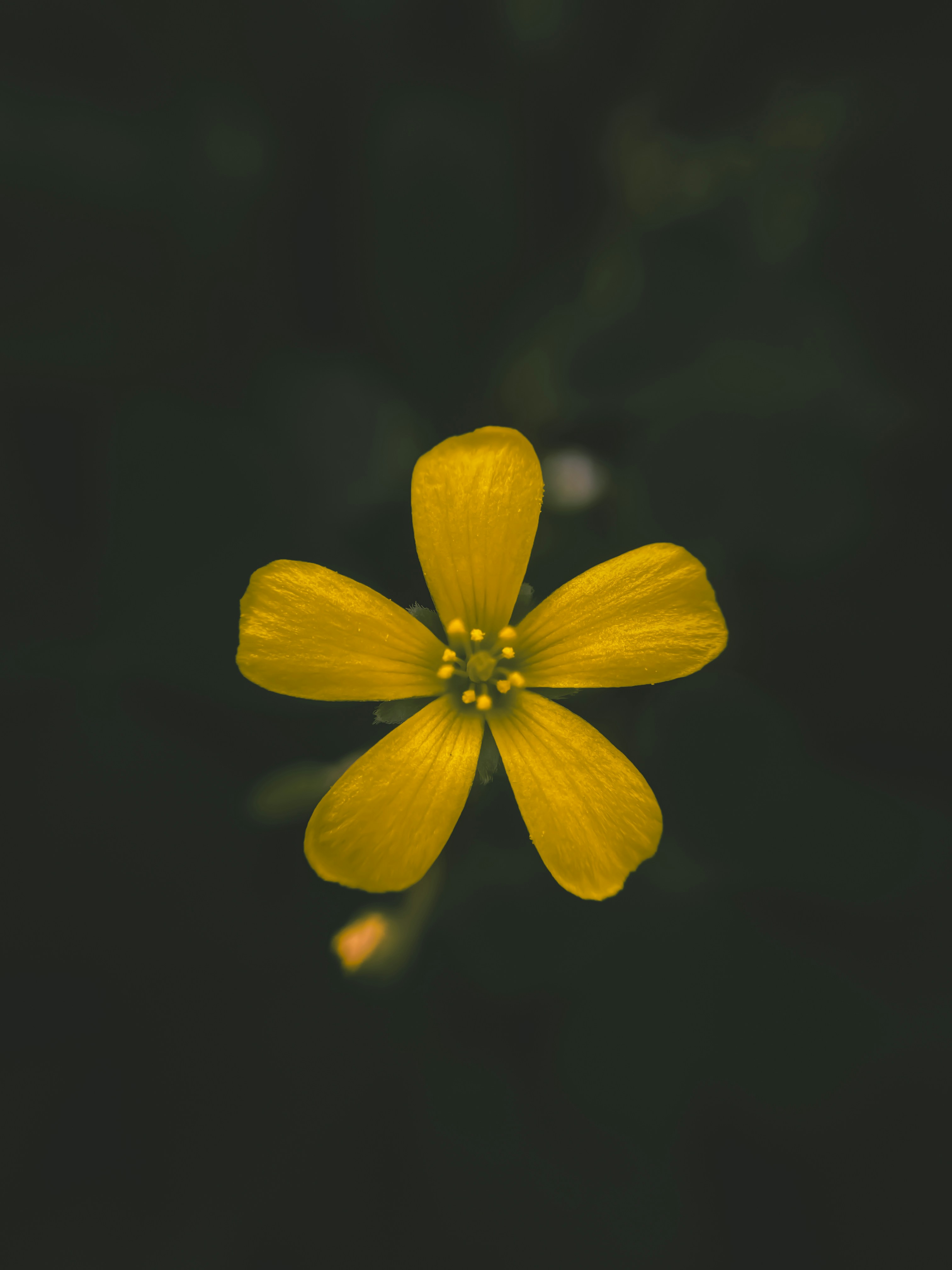 Photo by lokeshdhruw