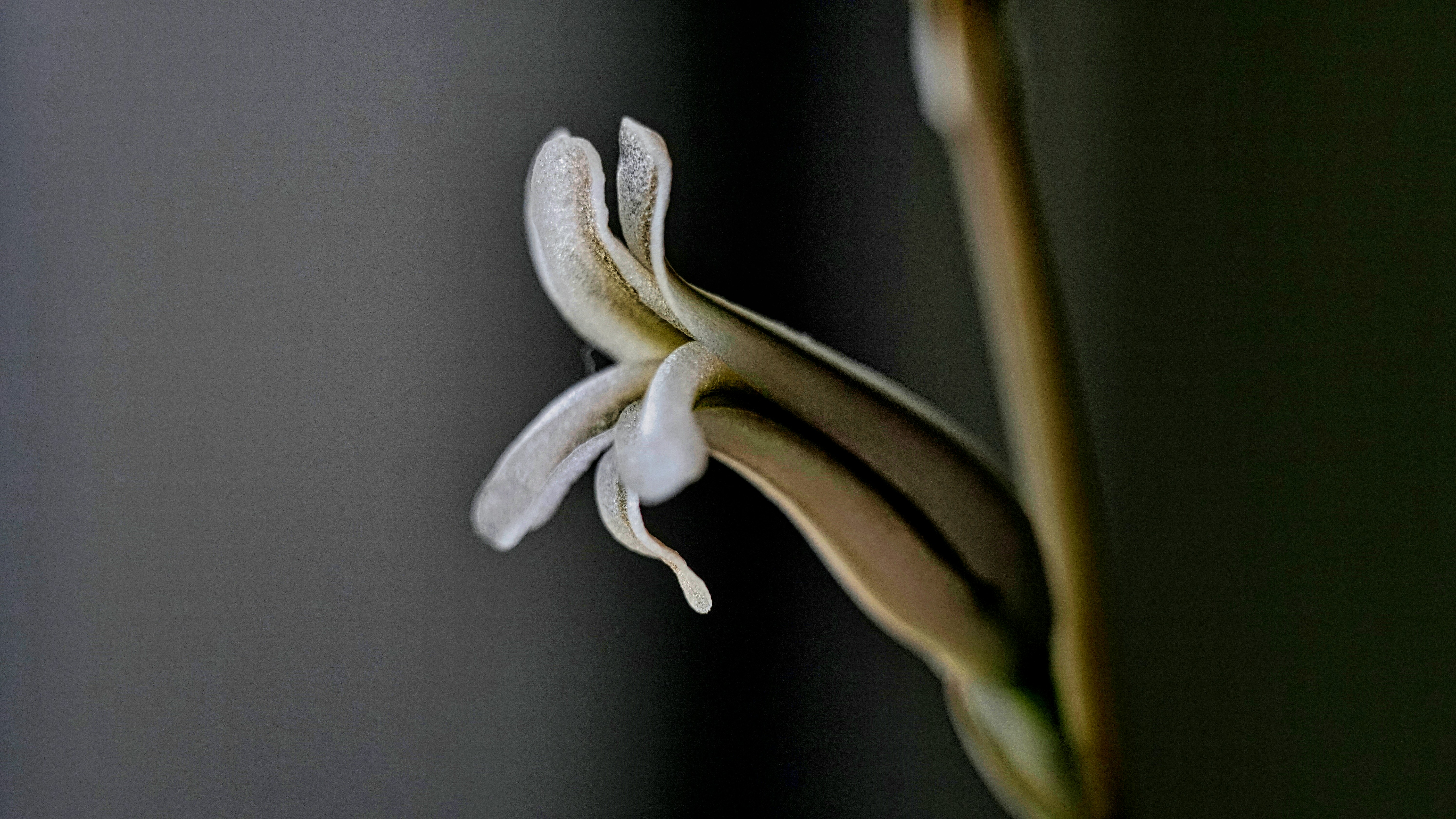 Photo by thomaskinto