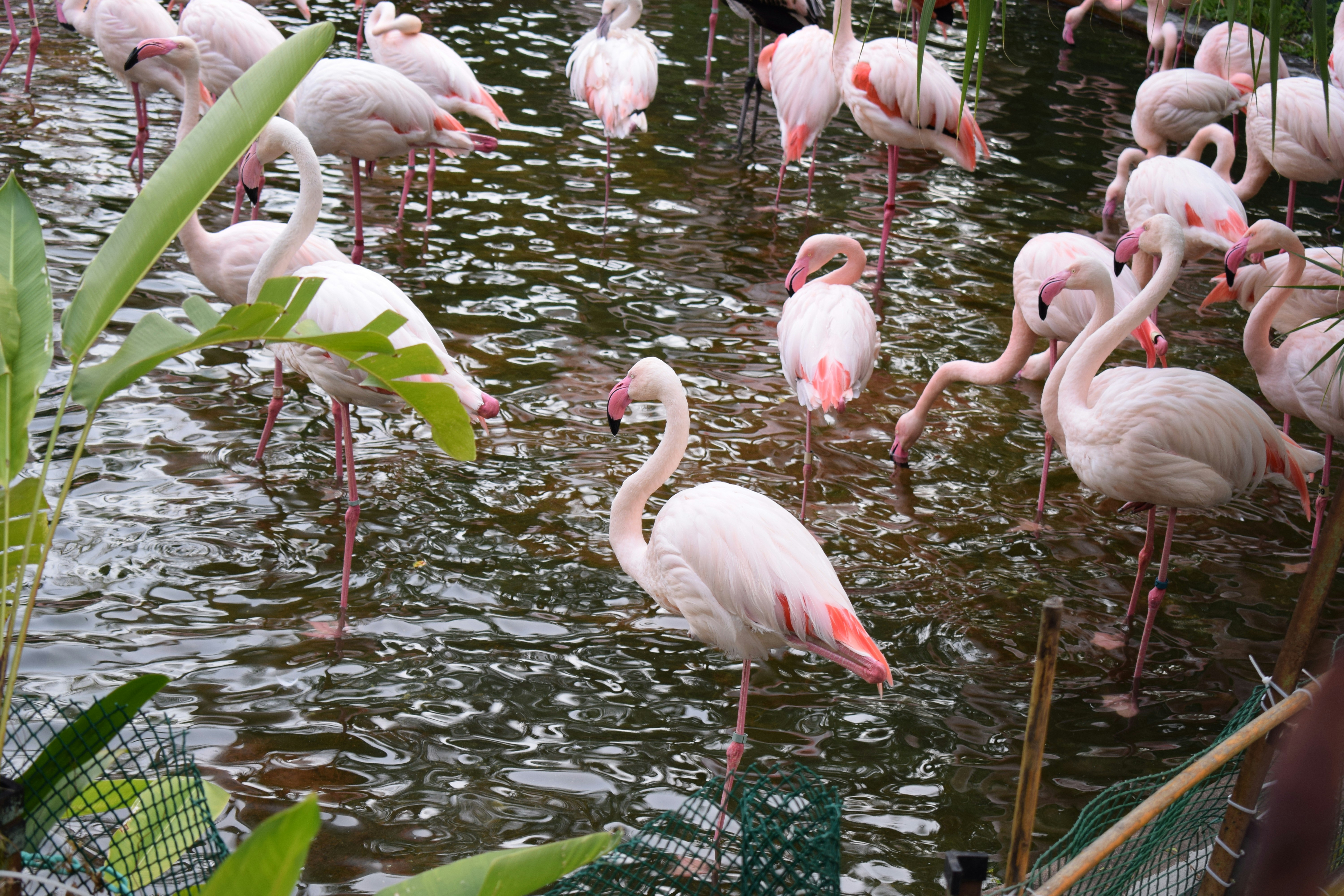 Photo by itcolleague