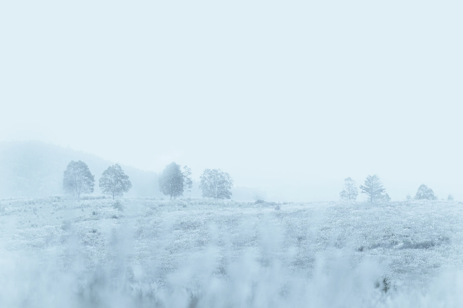 a close up of a snow covered field
