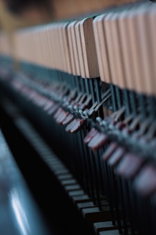 A close-up view of the internal mechanism of a piano, focusing on the wooden hammers and metal strings. The image captures the intricate alignment and the detailed construction of the piano's action.