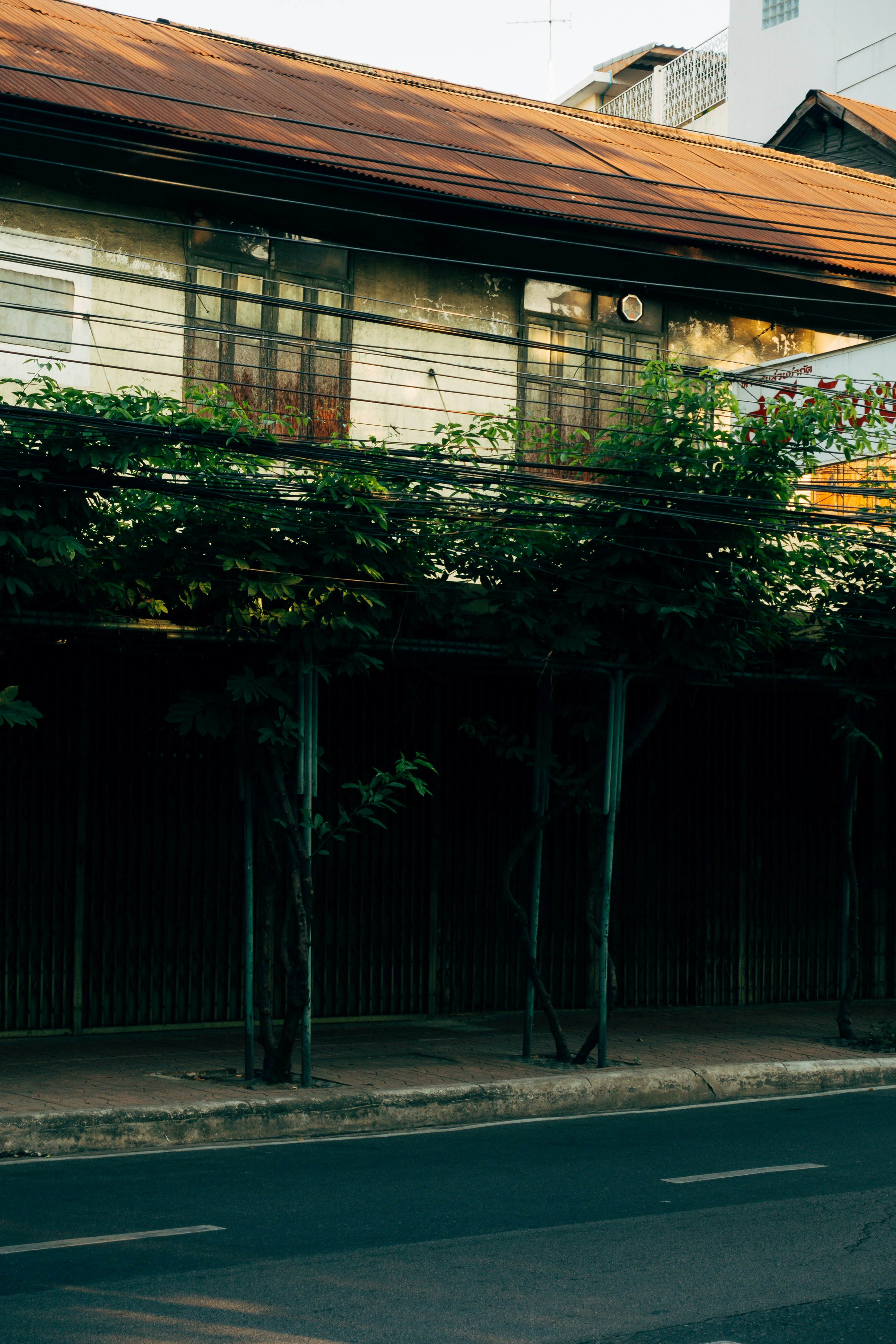 Photo by markuswinkler