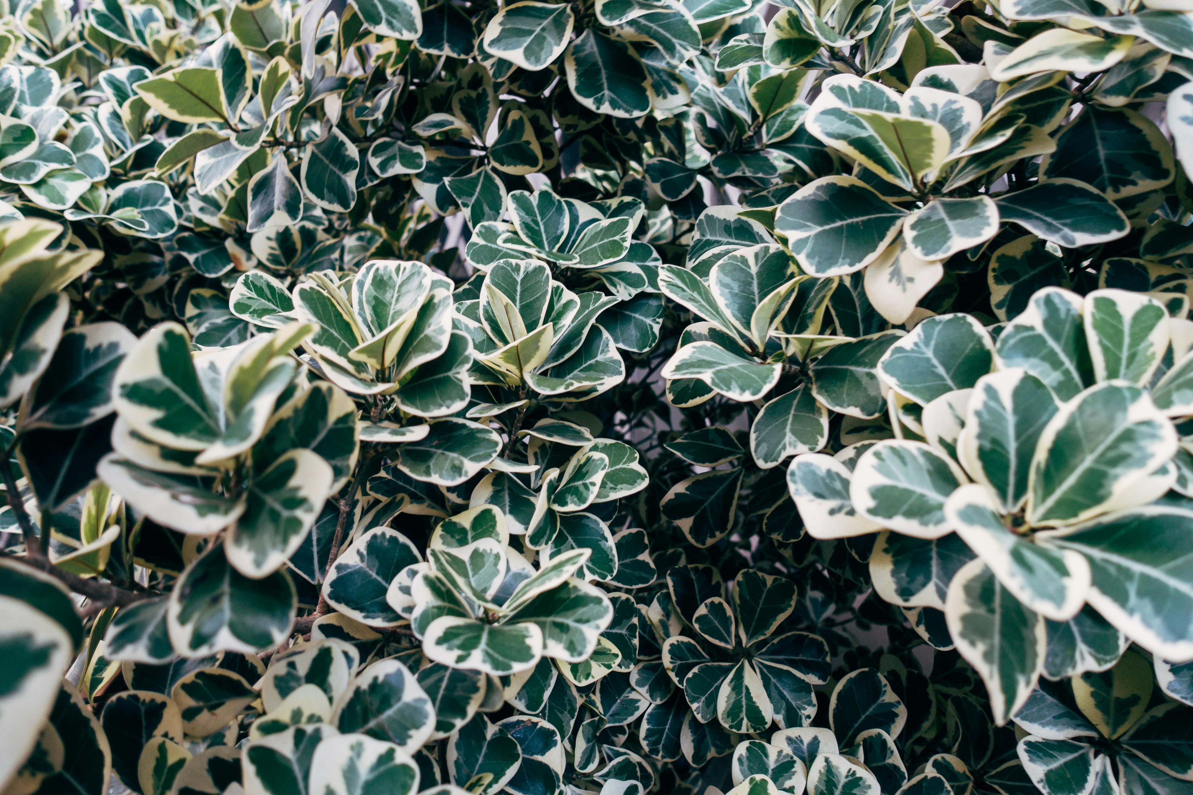 Photo by markuswinkler