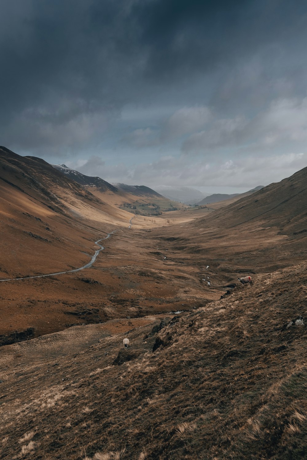 a view of a valley with a river running through it