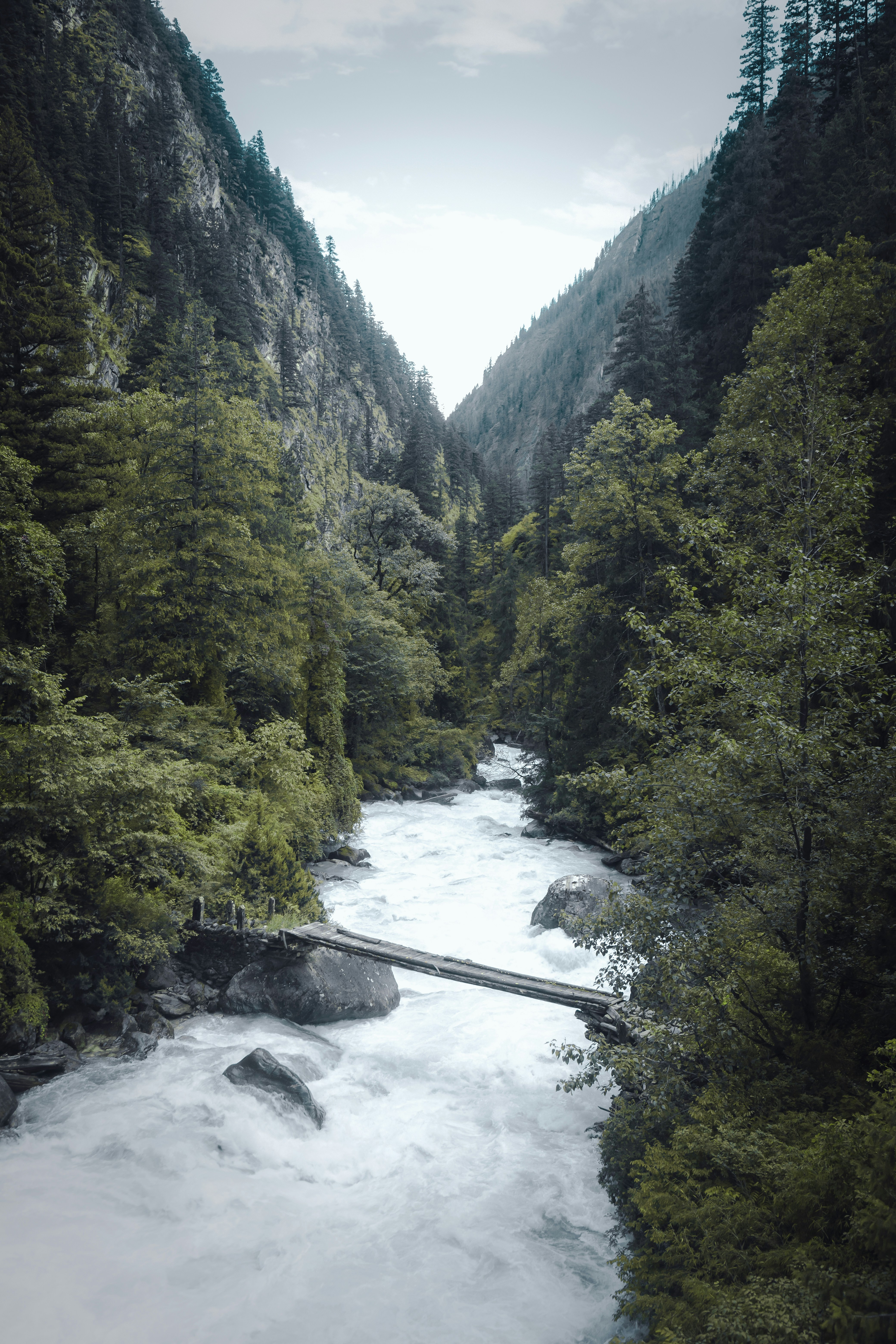 Photo by ashokjkshetri