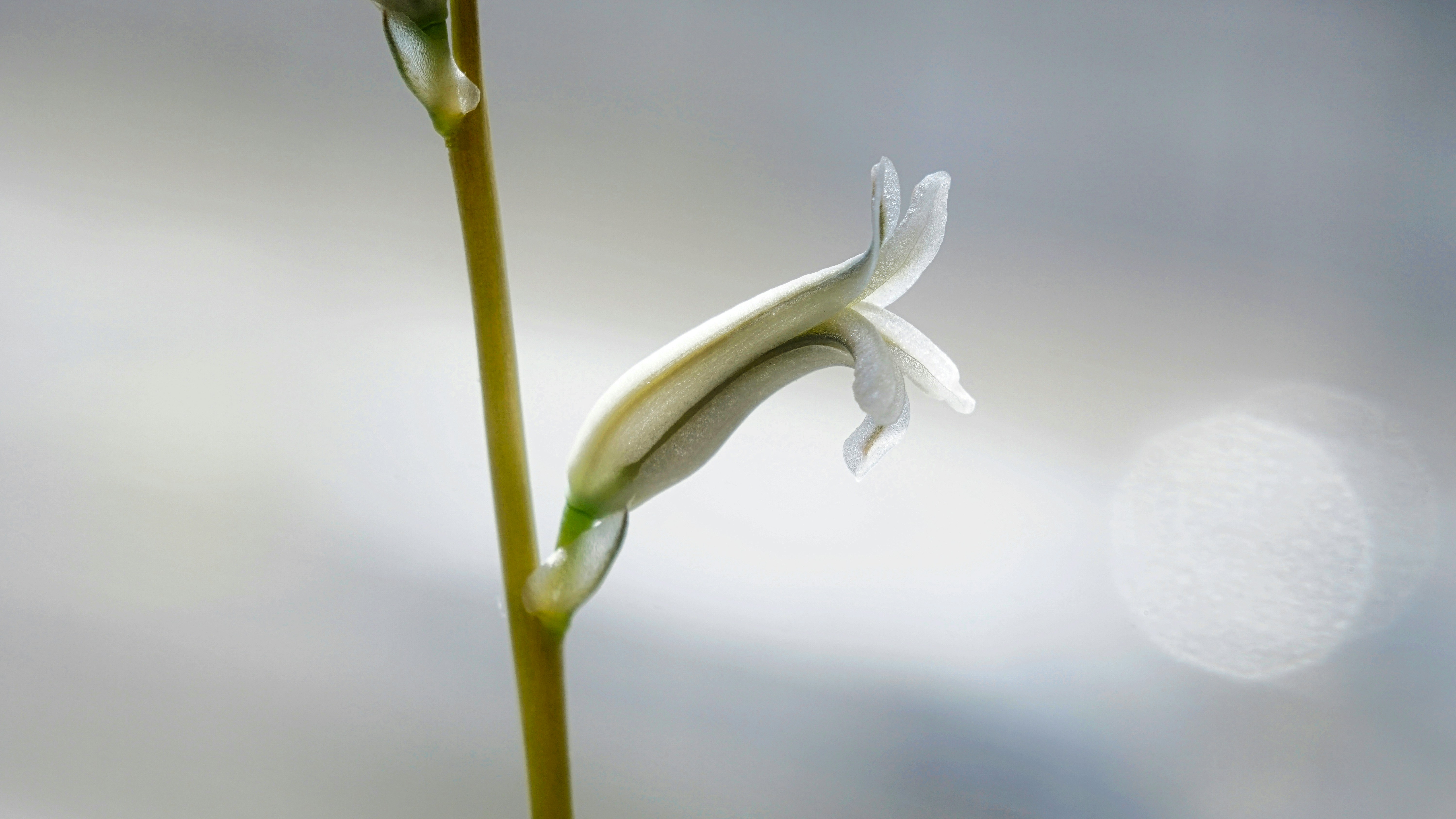 Photo by thomaskinto