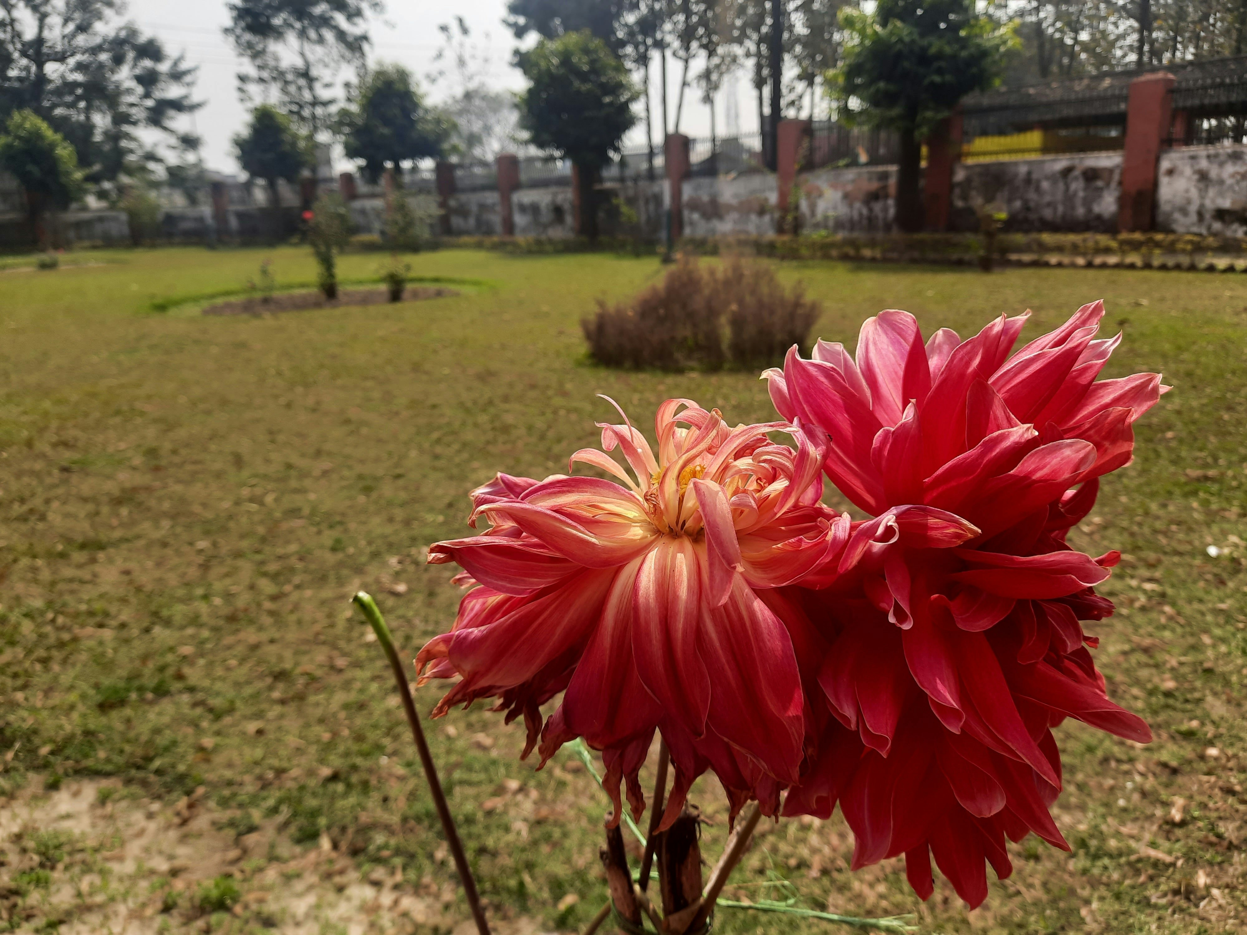 BHEL Park