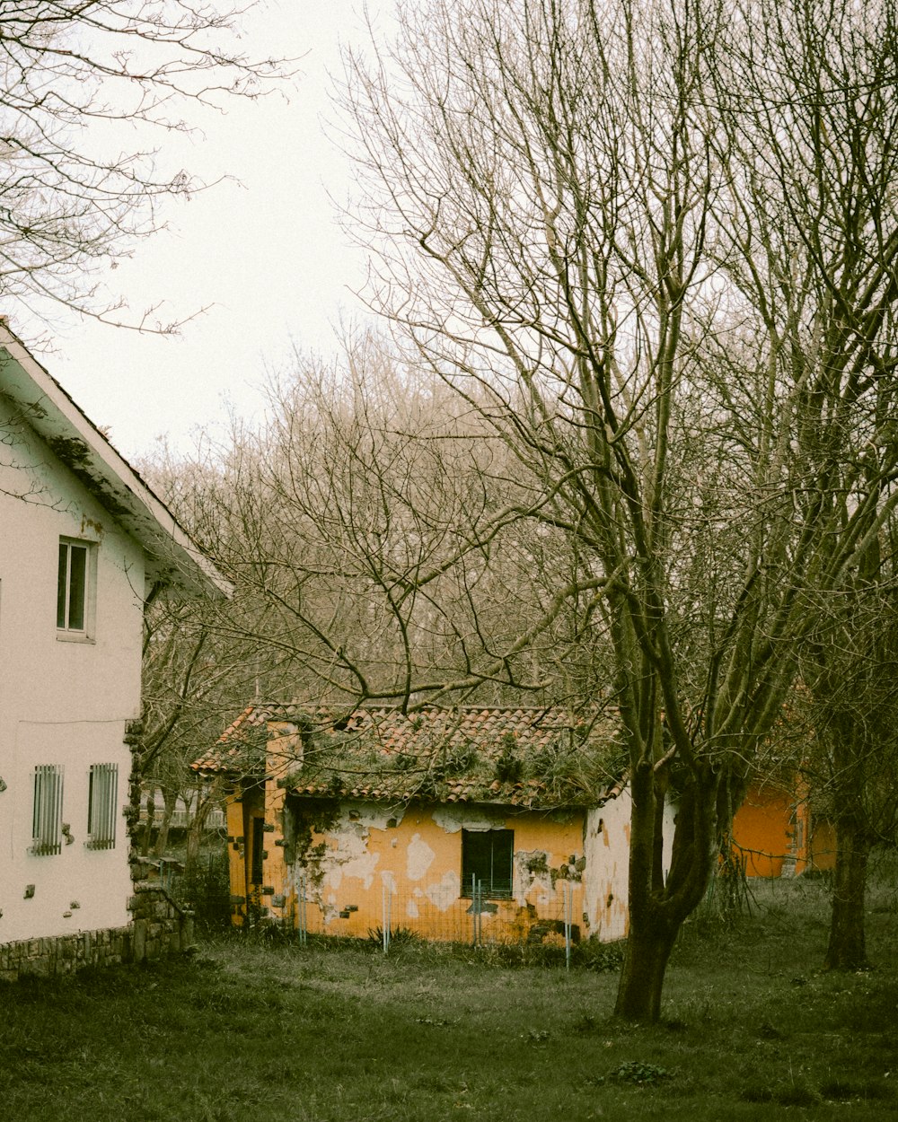 Una vecchia casa fatiscente in mezzo a un campo