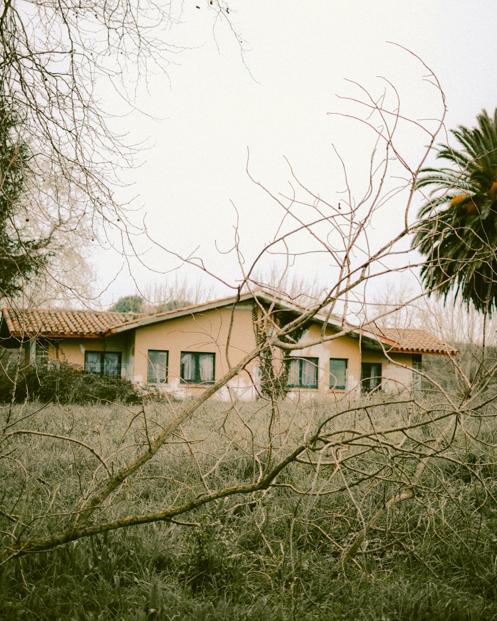 a house in a field with a tree in front of it