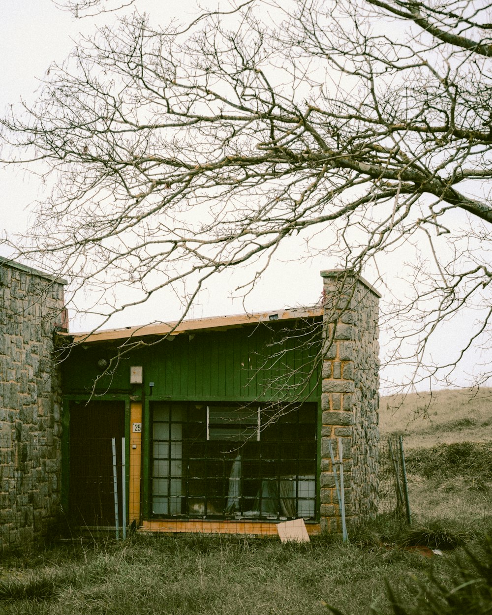 a green building with a tree in front of it