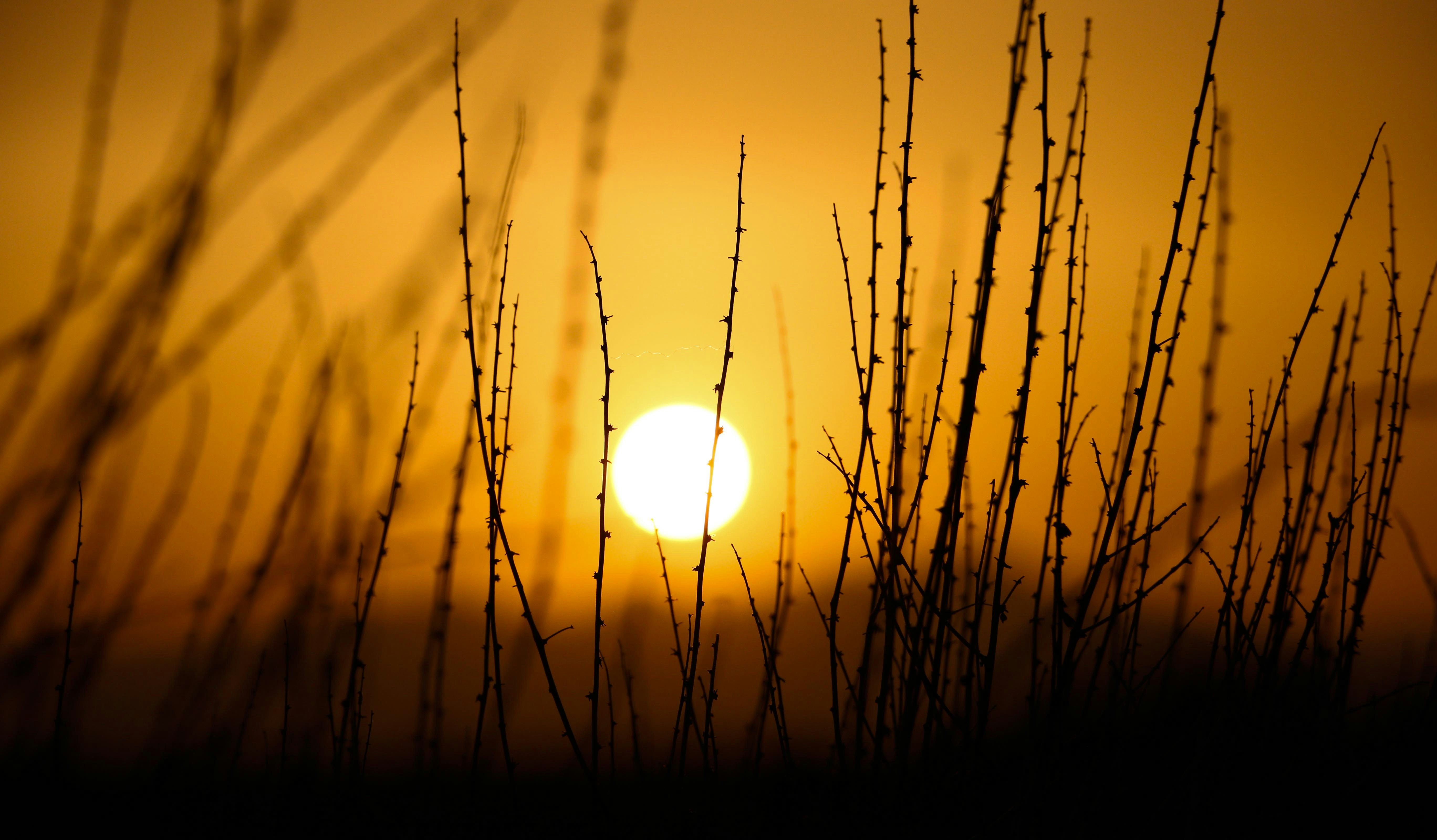 Photo by razipourjafari