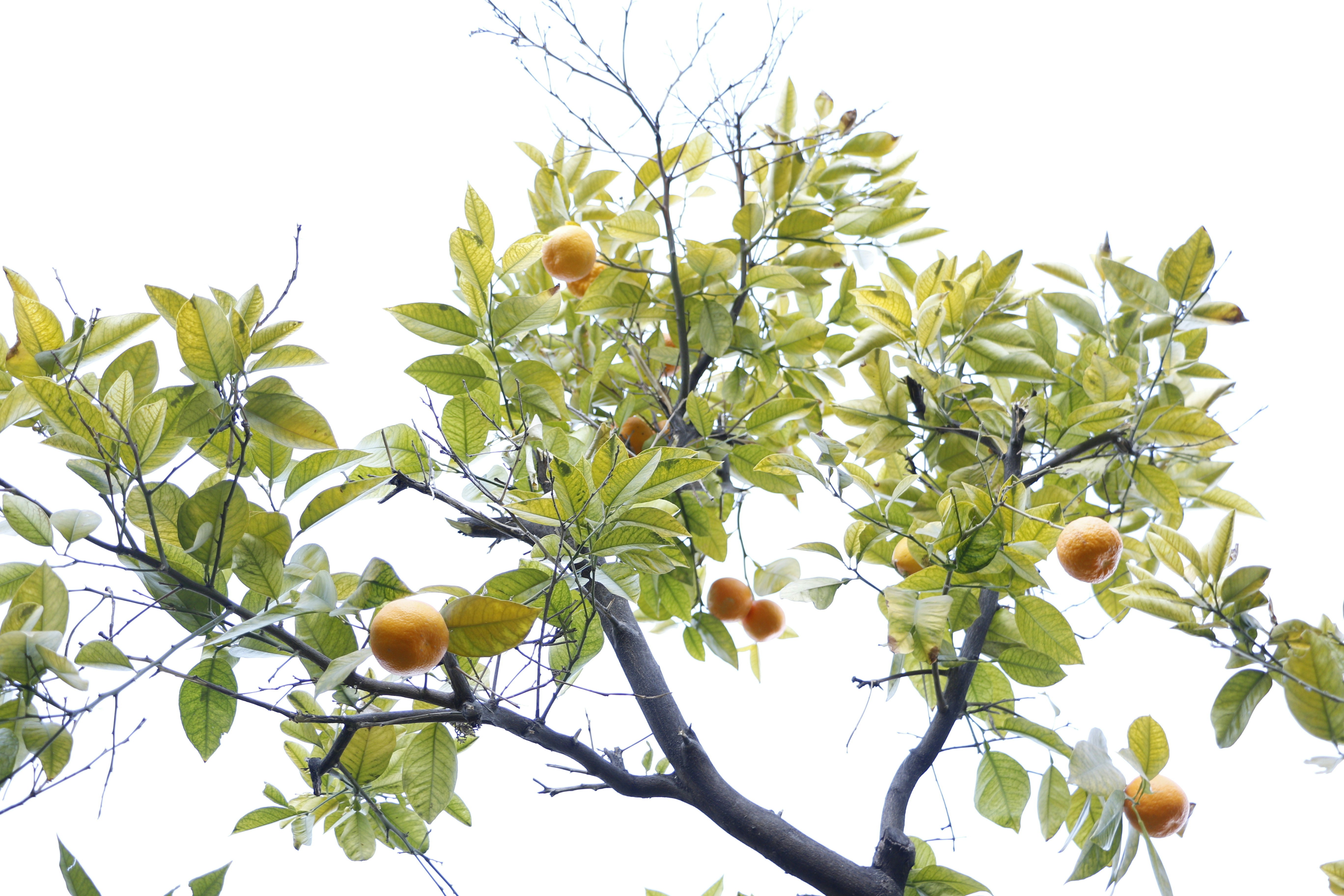 Photo by razipourjafari