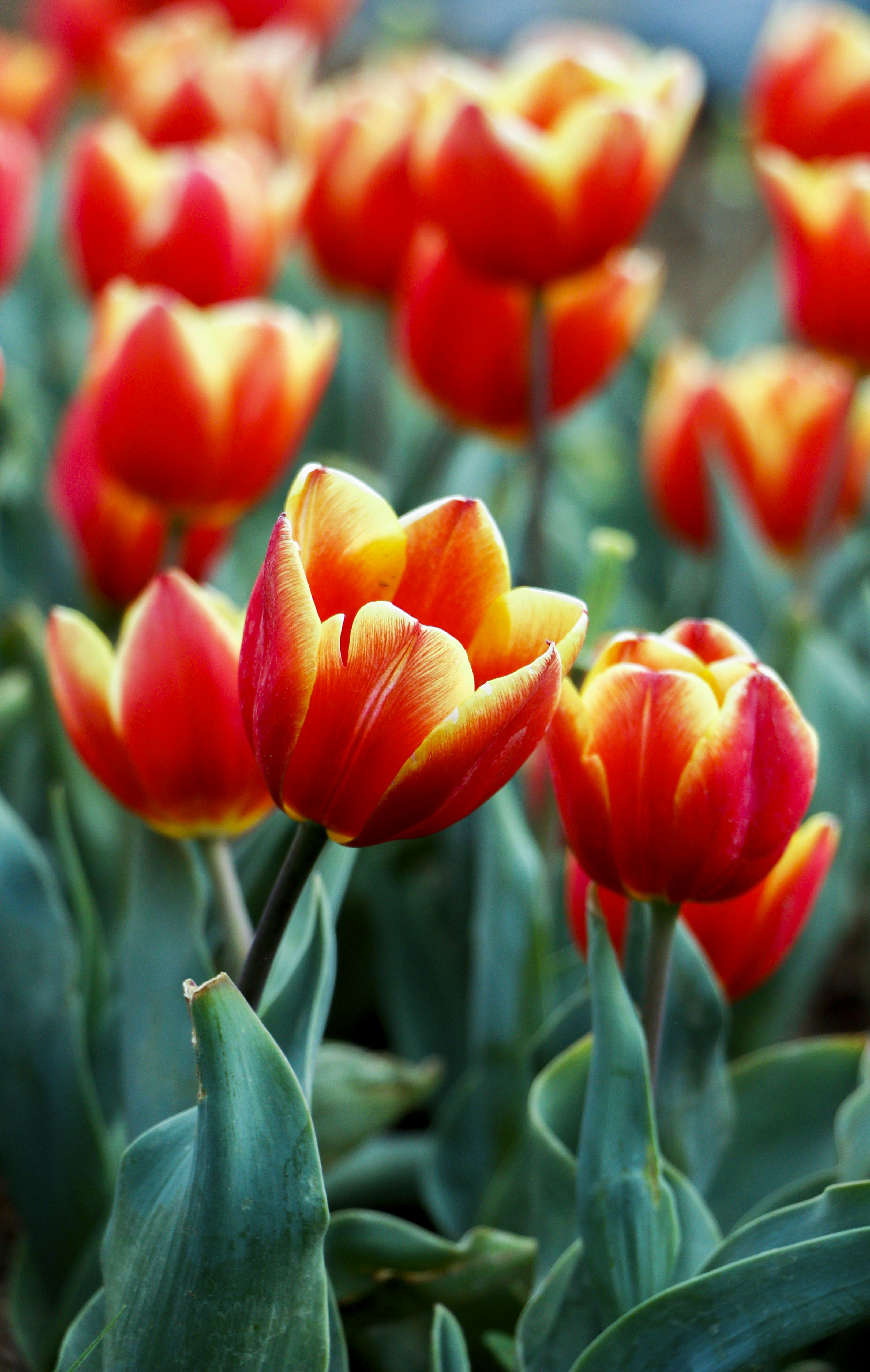 Photo by razipourjafari