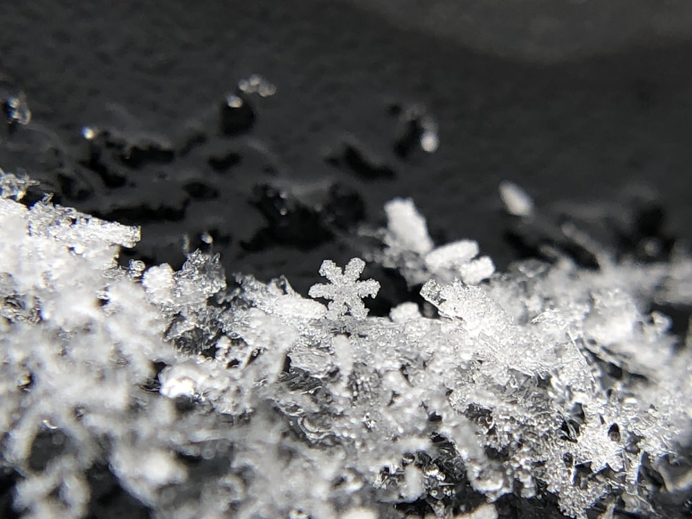 Une photo en noir et blanc de flocons de neige