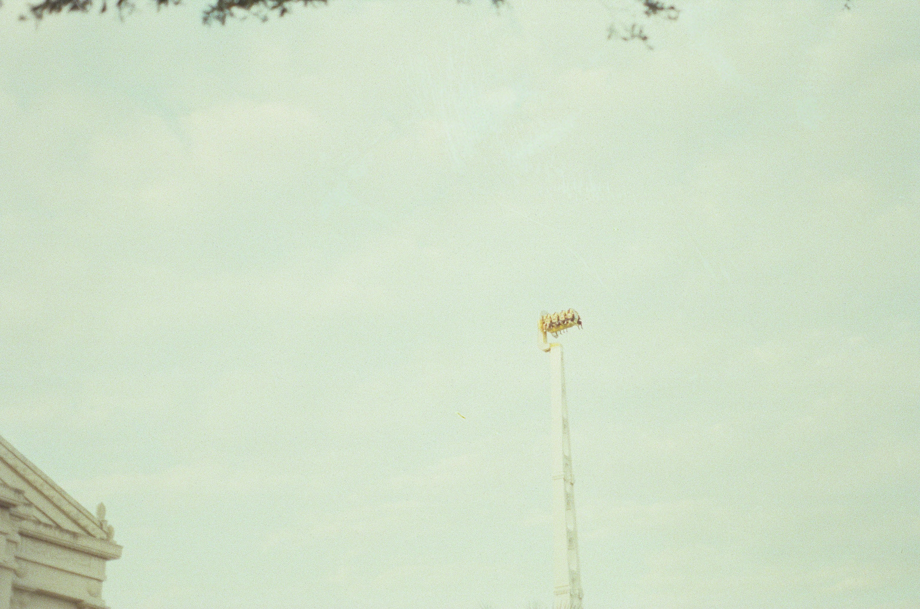 a traffic light on a pole in front of a building