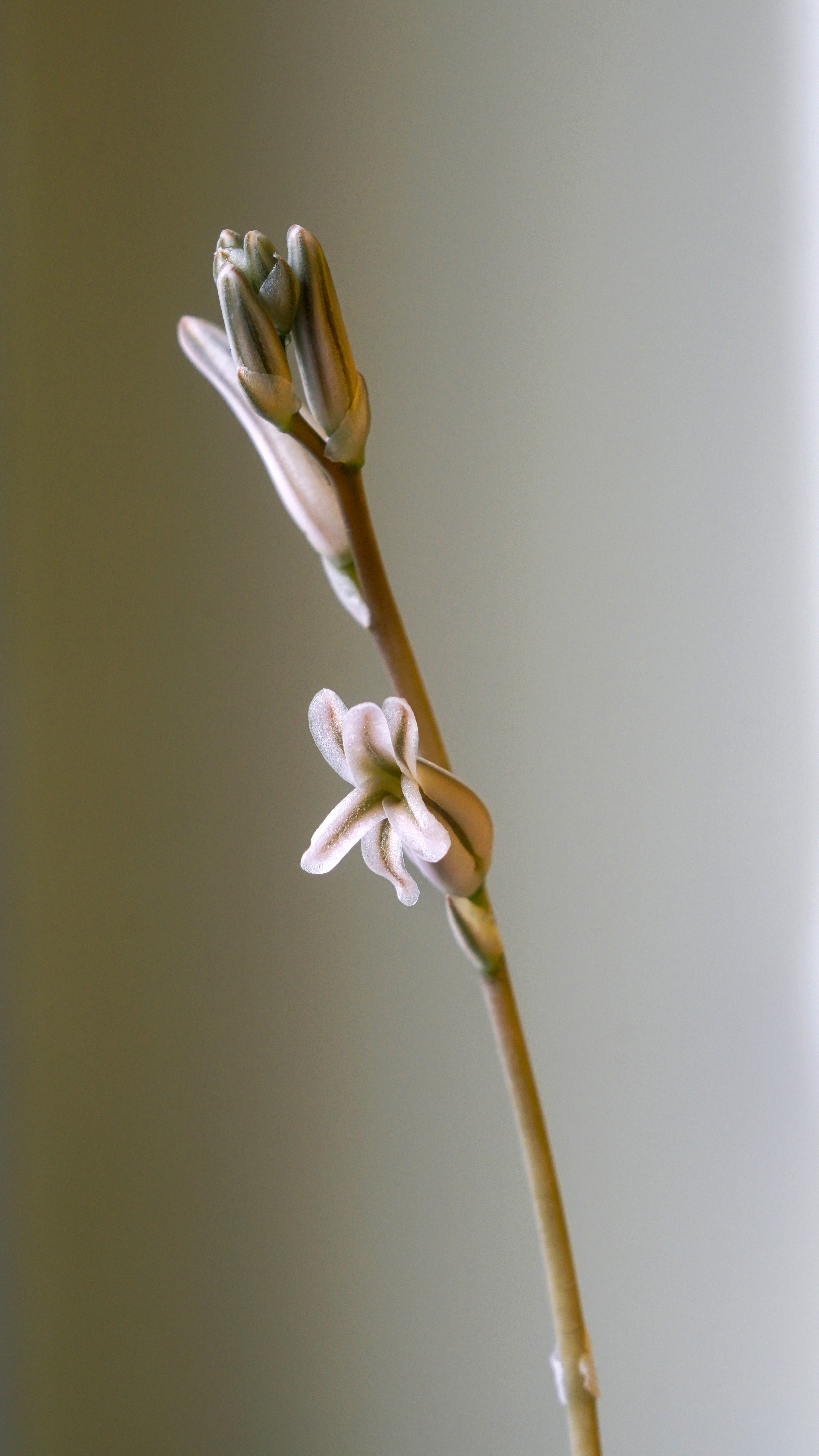 Photo by thomaskinto