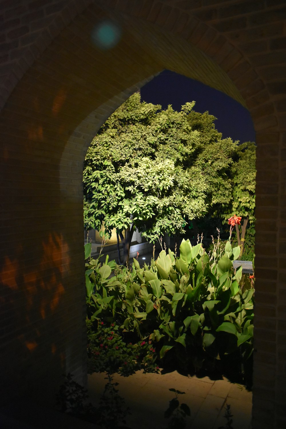 a view of a garden through an archway