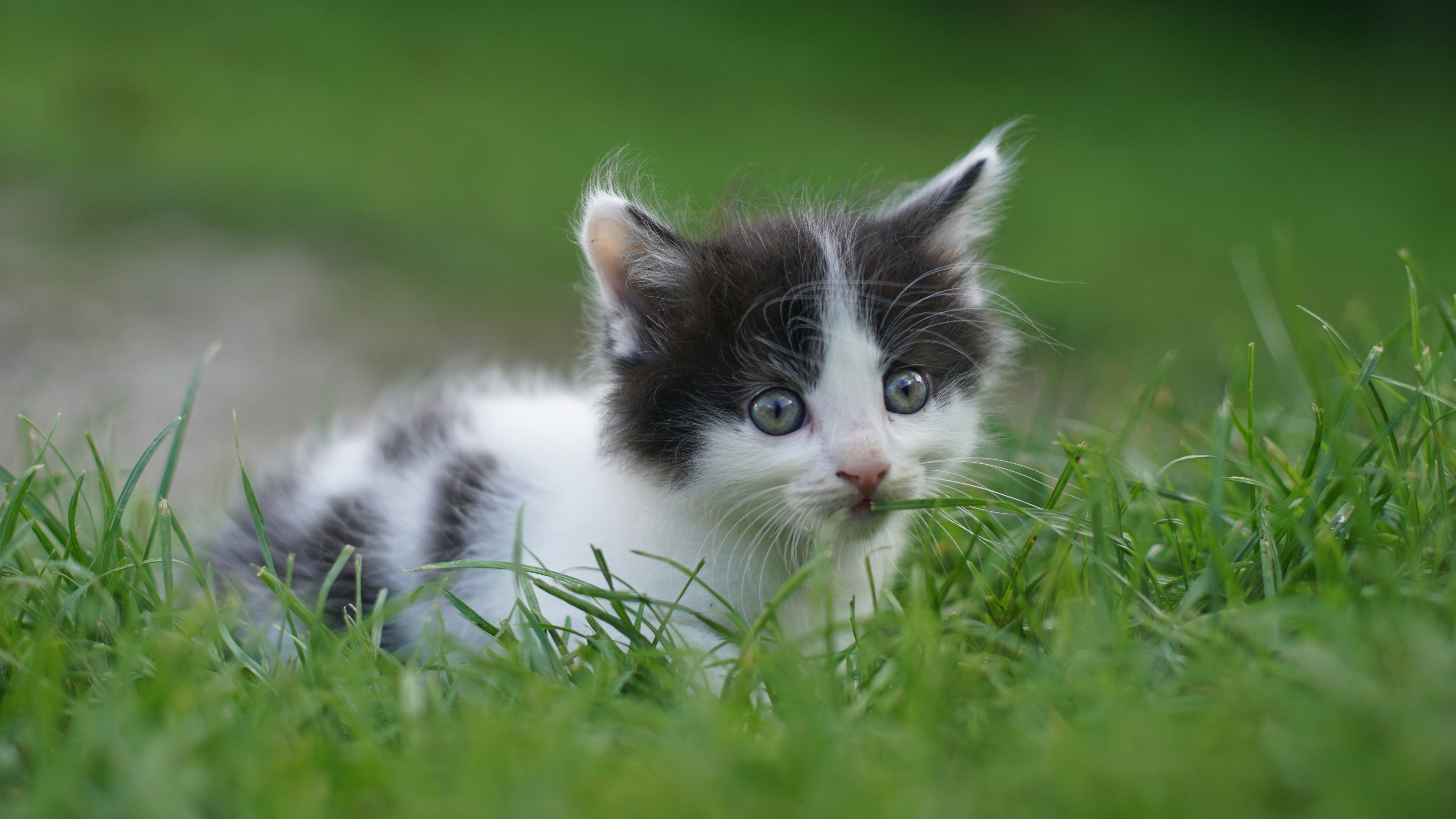 Photo by litschigraphie