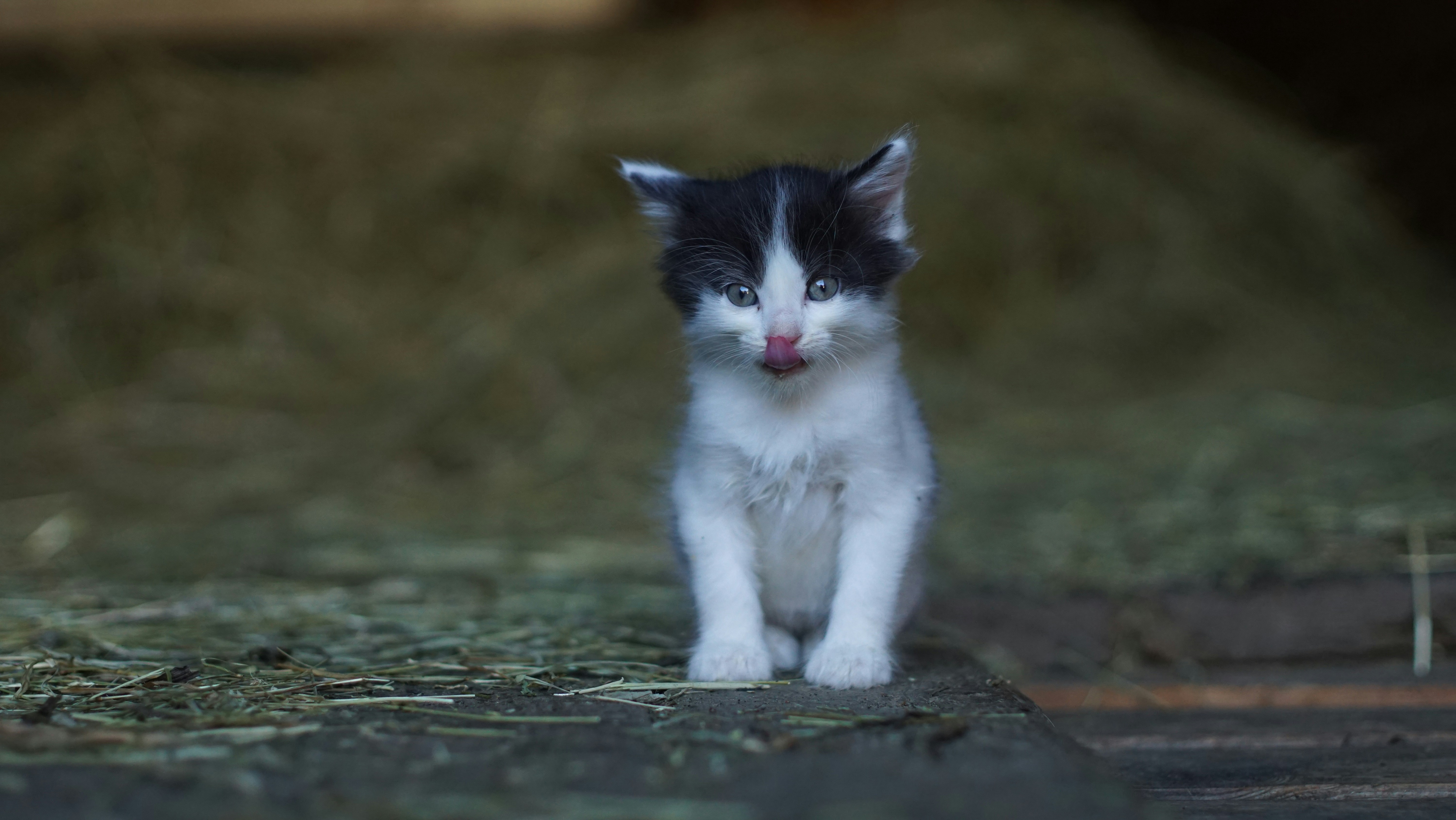 Photo by litschigraphie