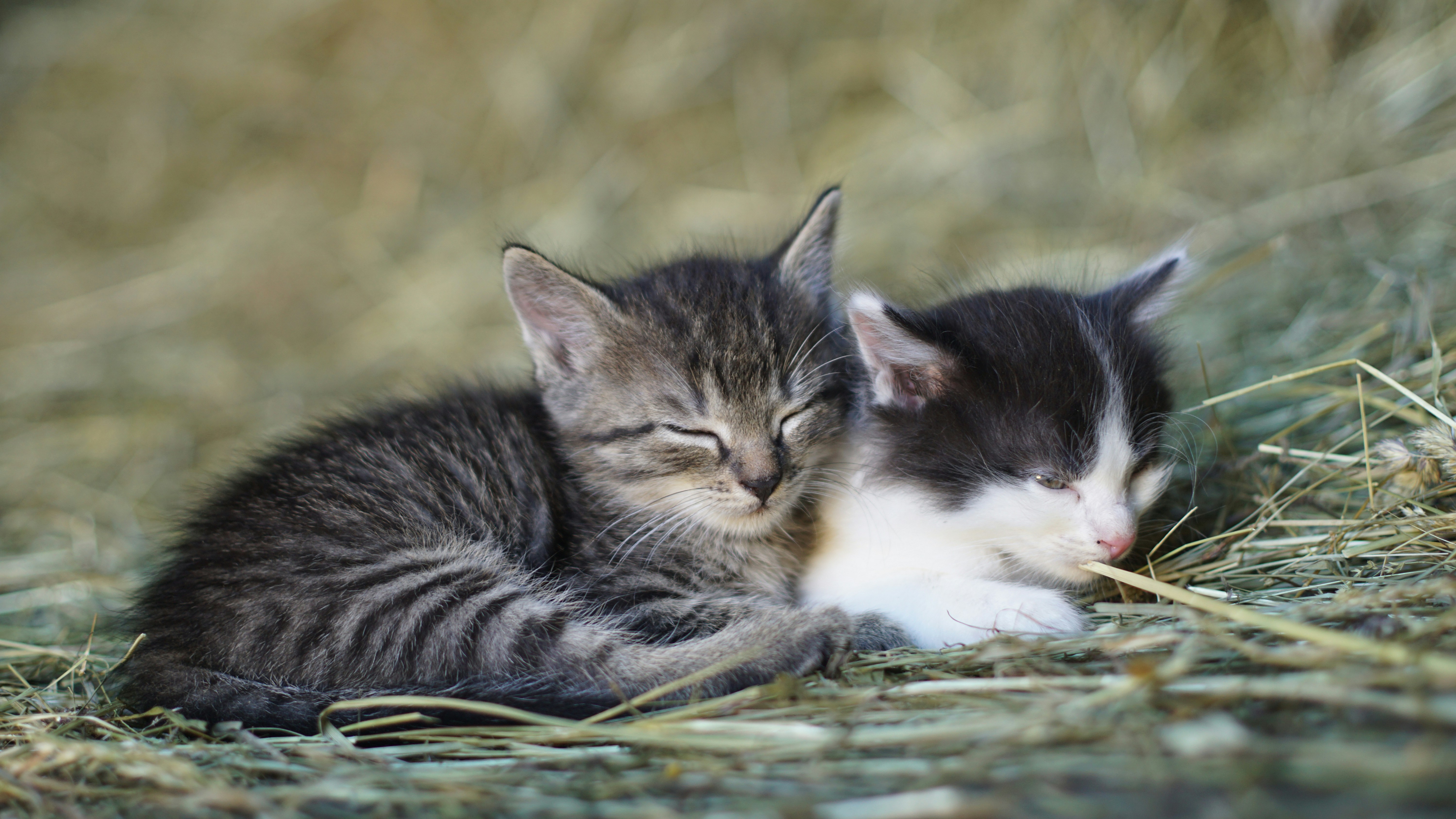 Photo by litschigraphie