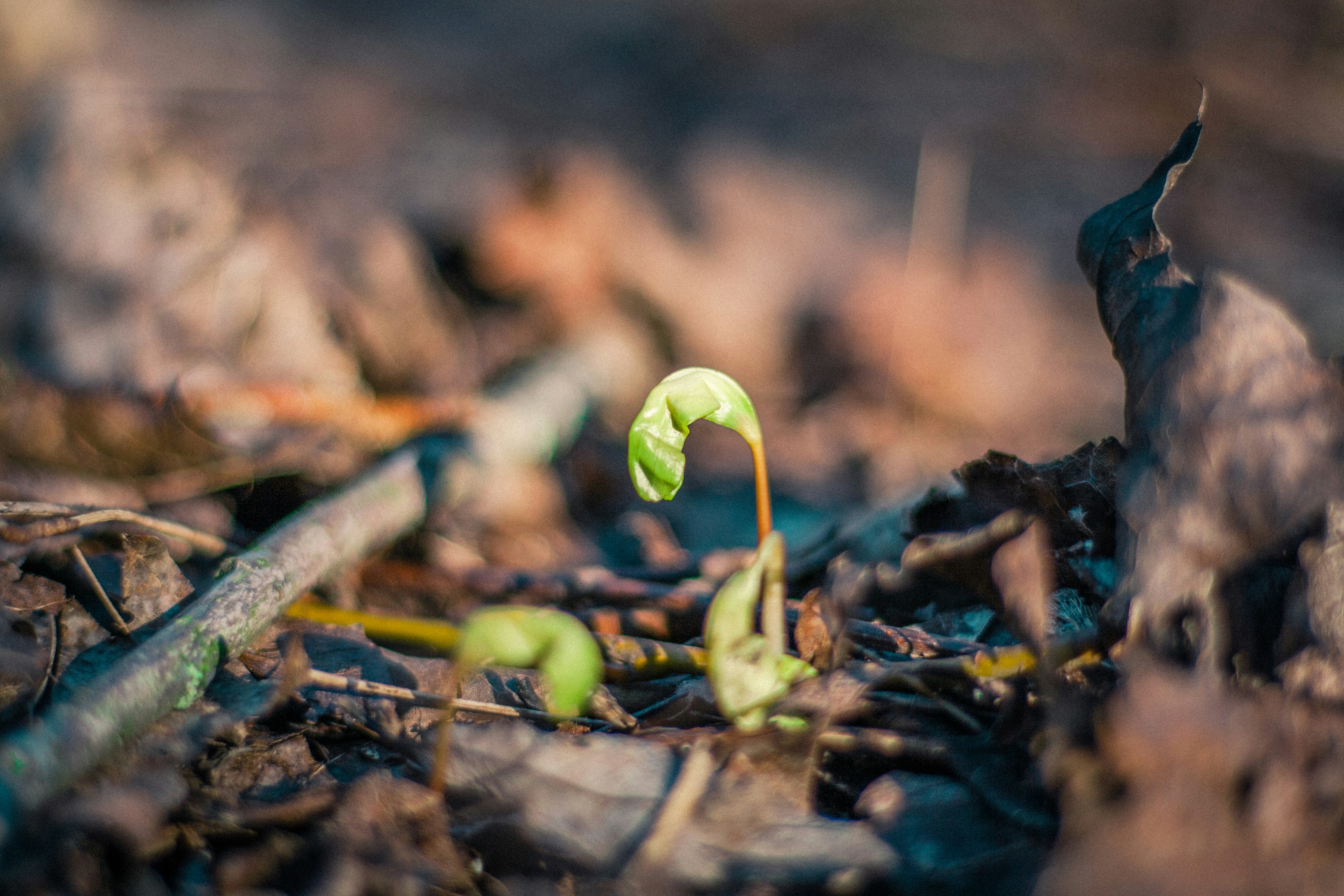 Photo by litschigraphie