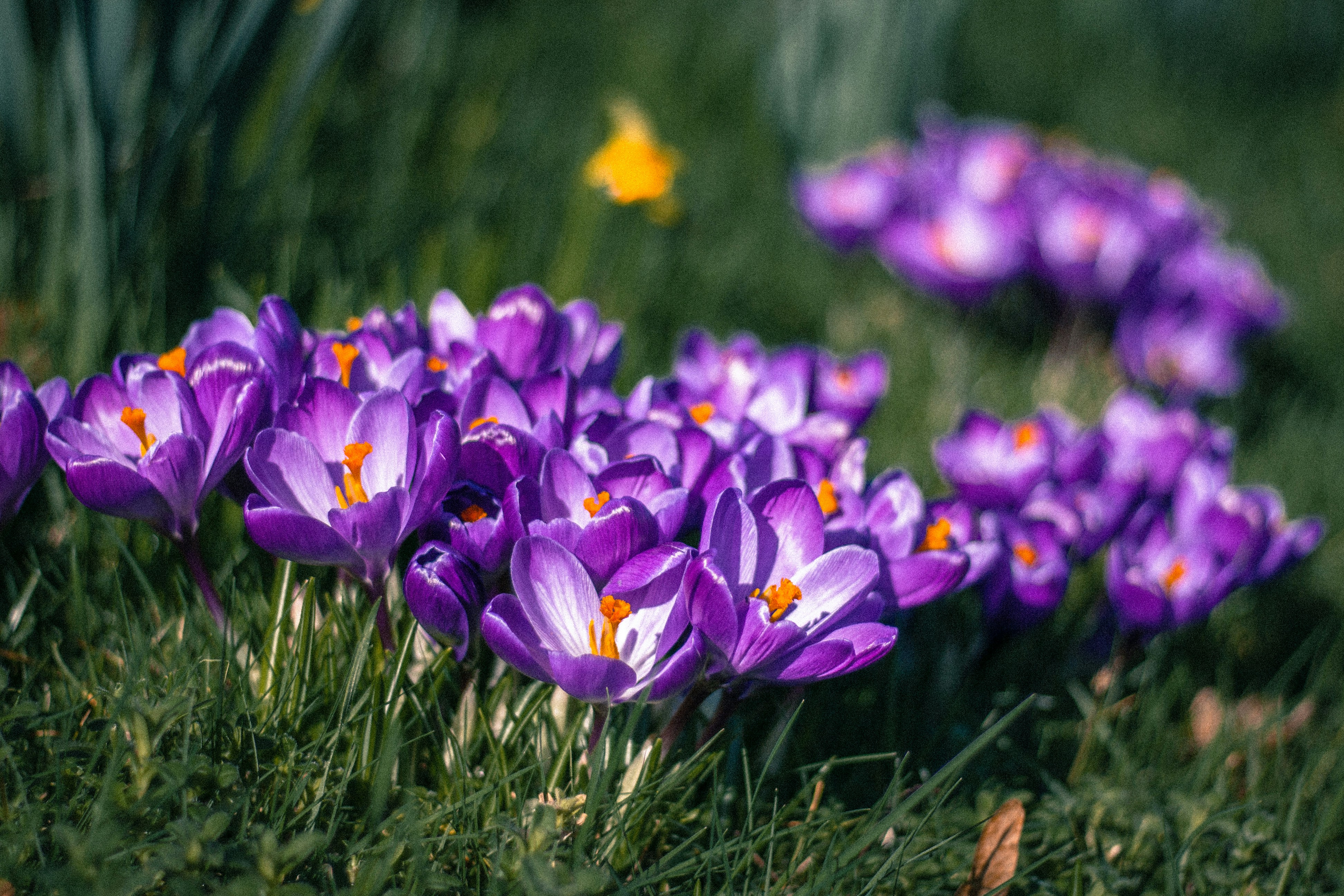 Photo by litschigraphie