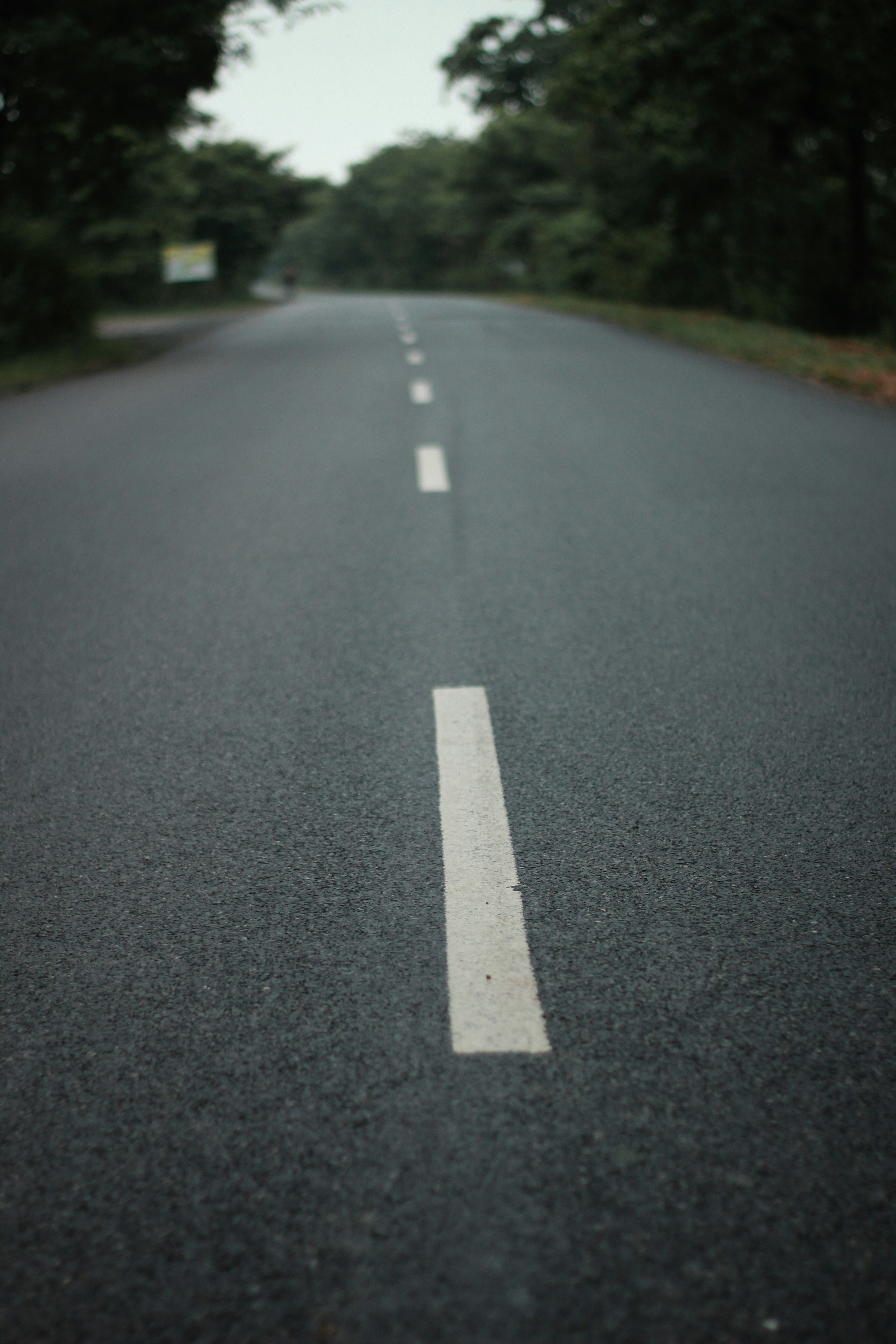 Photo by tusharranjan_