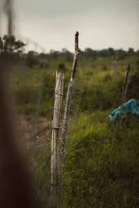 A rural landscape features a simple wooden and wire fence on grassy terrain. The fence is partially wrapped with rusted wire mesh, extending into the distance. In the background, a field of lush green grass stretches out, interspersed with patches of foliage. A blue tarp or fabric is partially visible on the ground, adding a contrast to the natural colors.