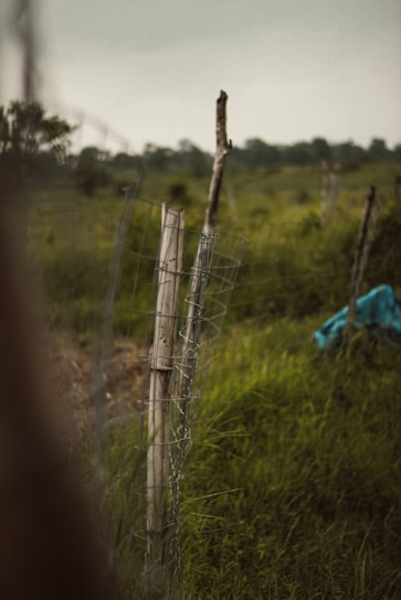 A rural landscape features a simple wooden and wire fence on grassy terrain. The fence is partially wrapped with rusted wire mesh, extending into the distance. In the background, a field of lush green grass stretches out, interspersed with patches of foliage. A blue tarp or fabric is partially visible on the ground, adding a contrast to the natural colors.