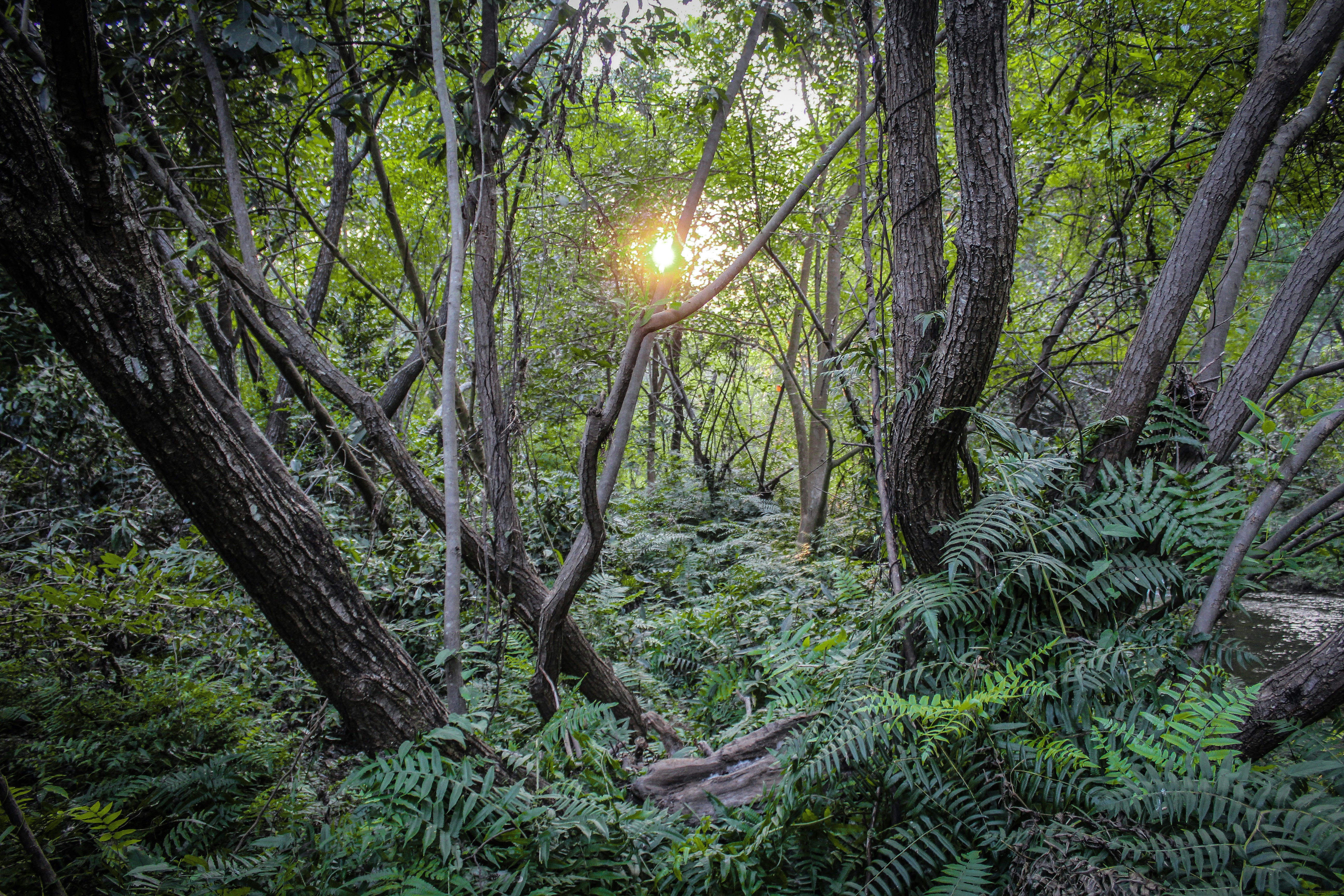 Photo by tusharranjan_