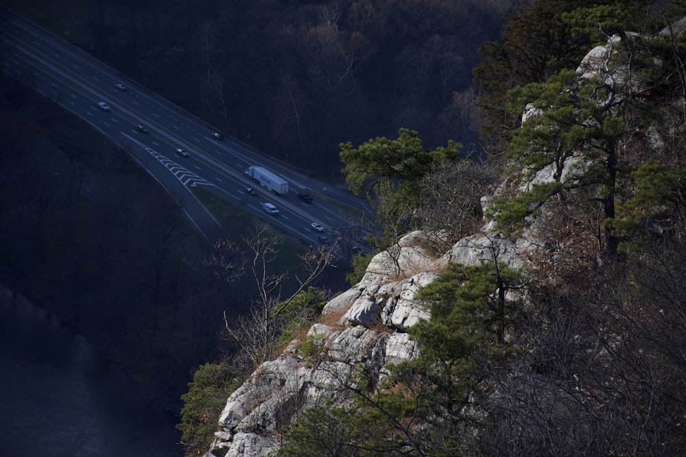 a highway going over a cliff in the middle of a forest