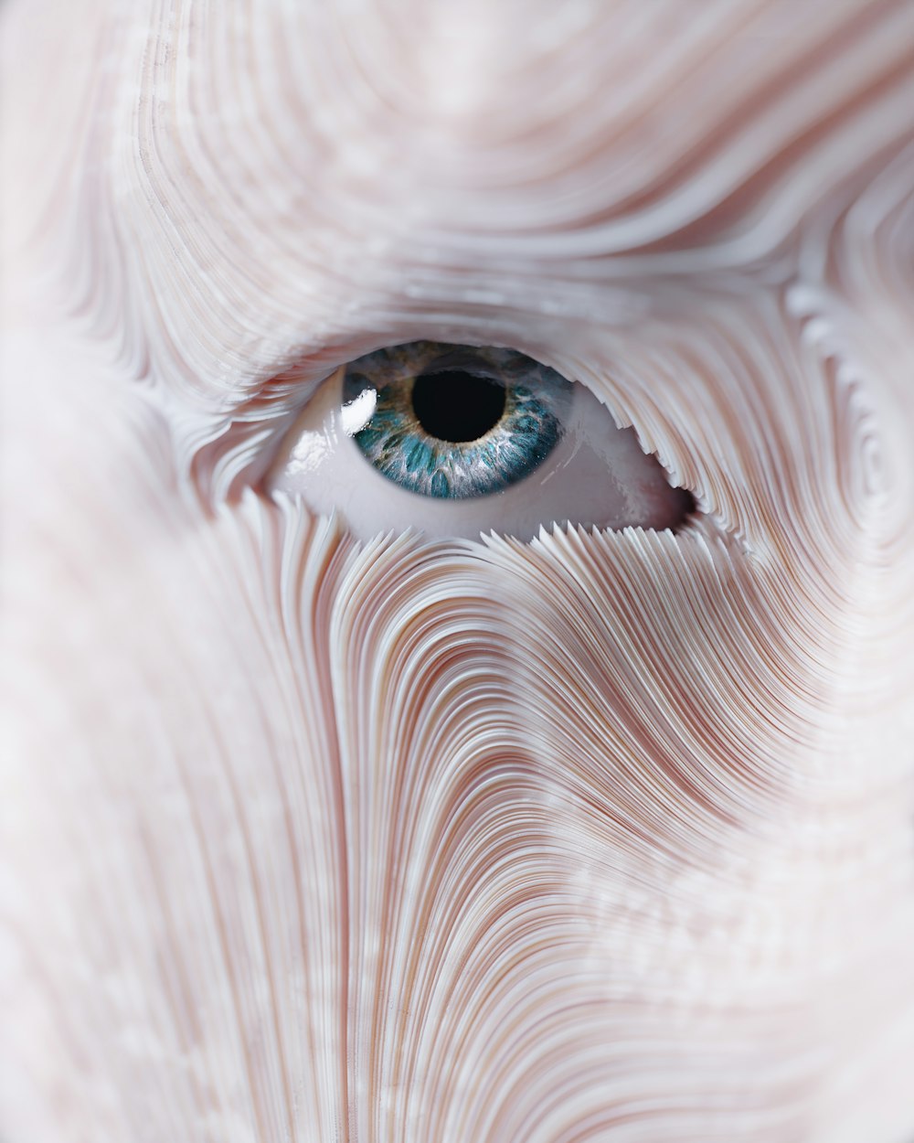 a close up of a blue eye in a coral