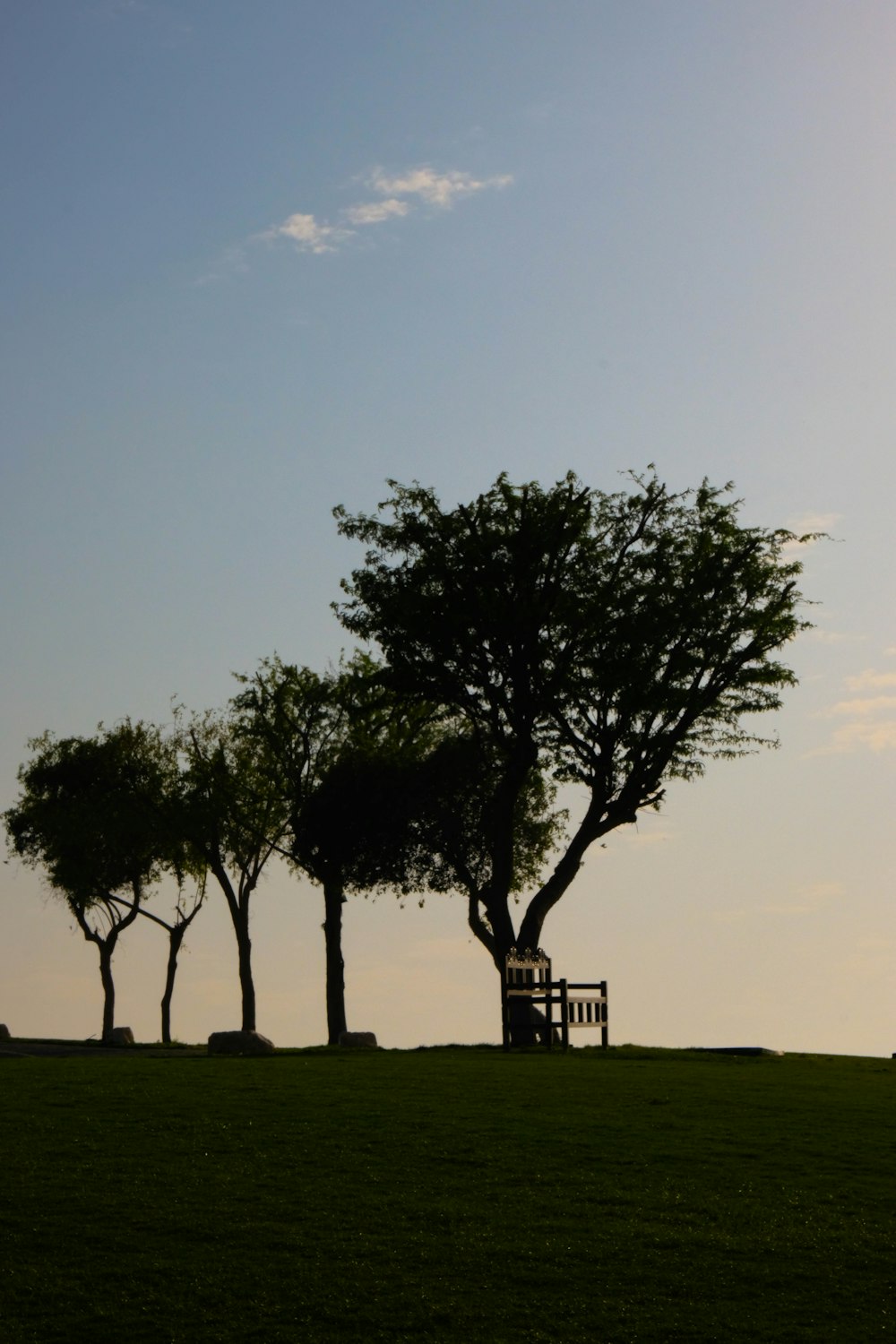 a couple of trees sitting on top of a lush green field