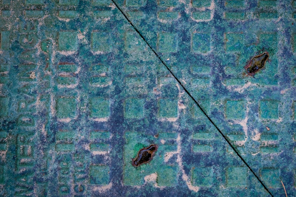 Dos pájaros están sentados en una pared azul y verde