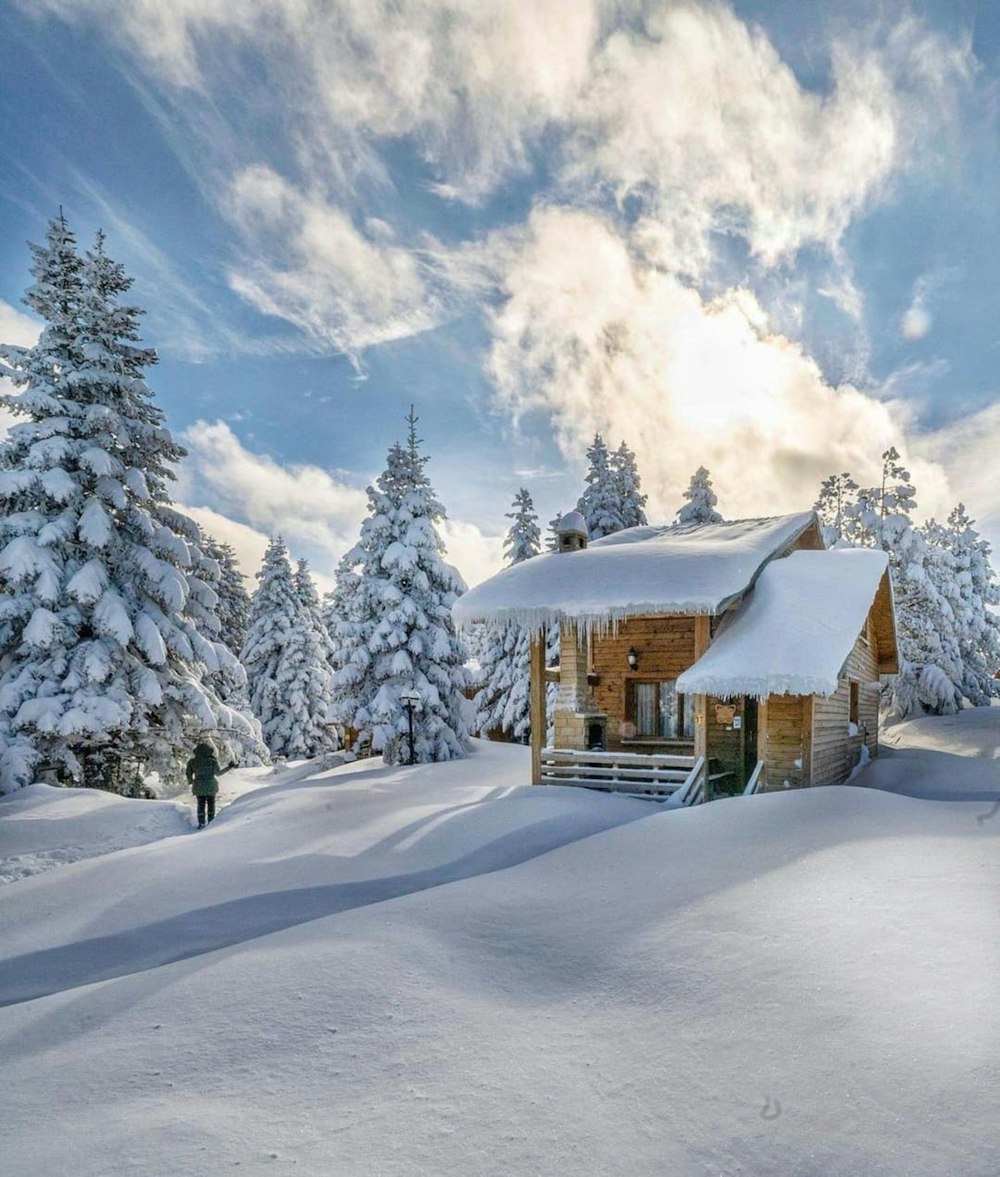 a cabin in the middle of a snowy field