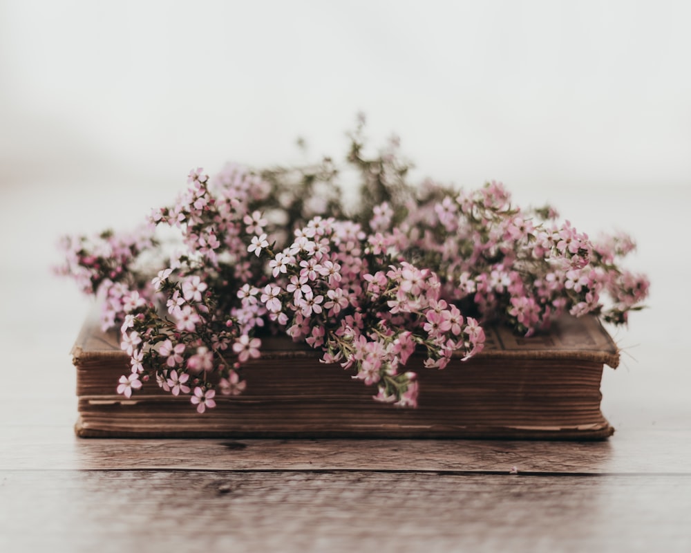 a vase of flowers on a table